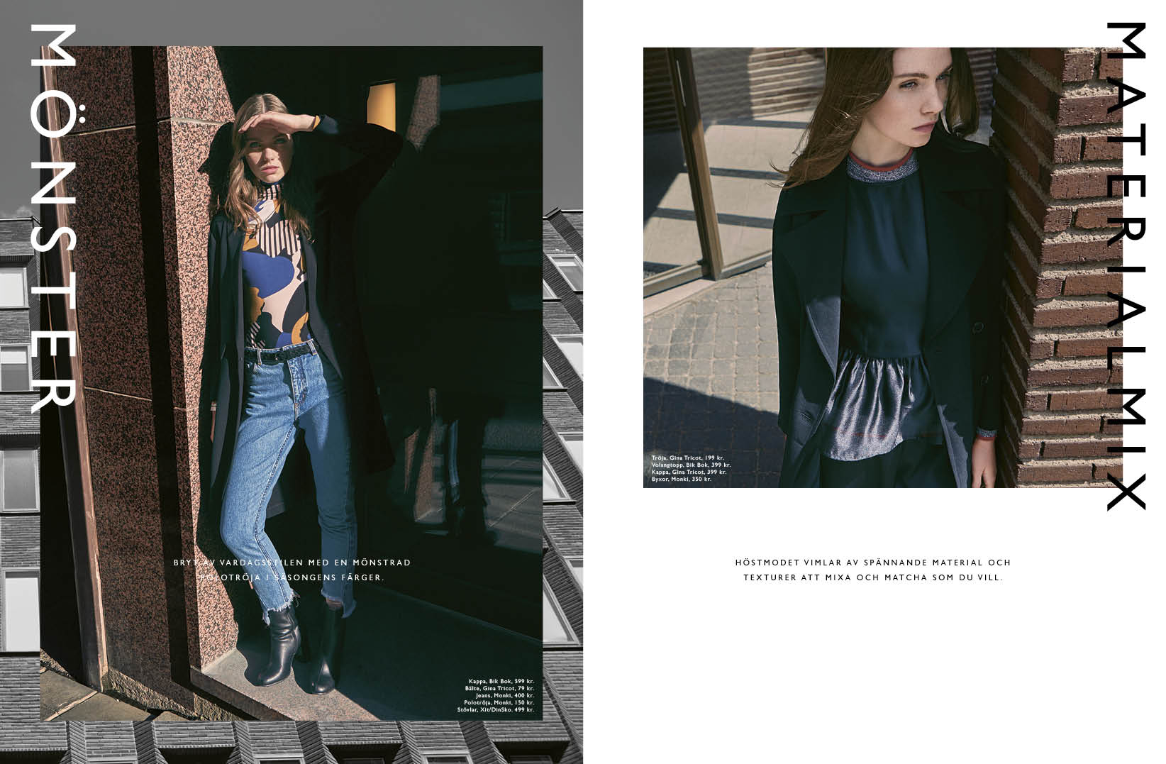 FEMMAN_MAG_sid30-31_mode.jpg