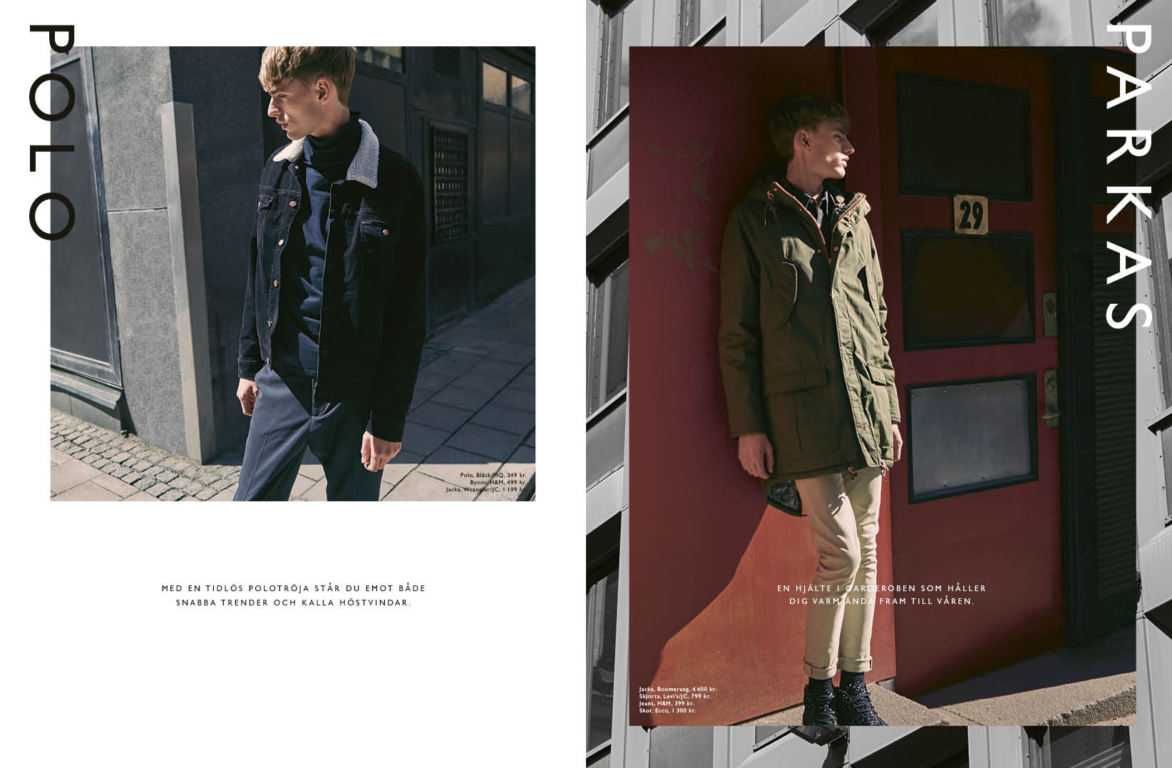 FEMMAN_MAG_sid32-33_mode.jpg