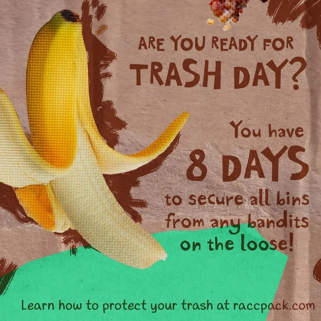 Trash day is coming. Are you prepared?
.
.
.
#theraccpack #kidlit #raccoons #mglit #graphicnovel
