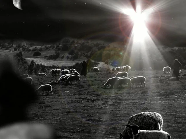 Born In A Stable And Announced To Shepherds