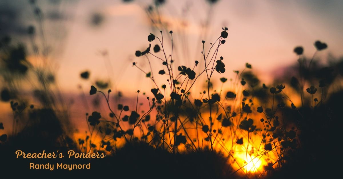What Have You Purposed To Do?