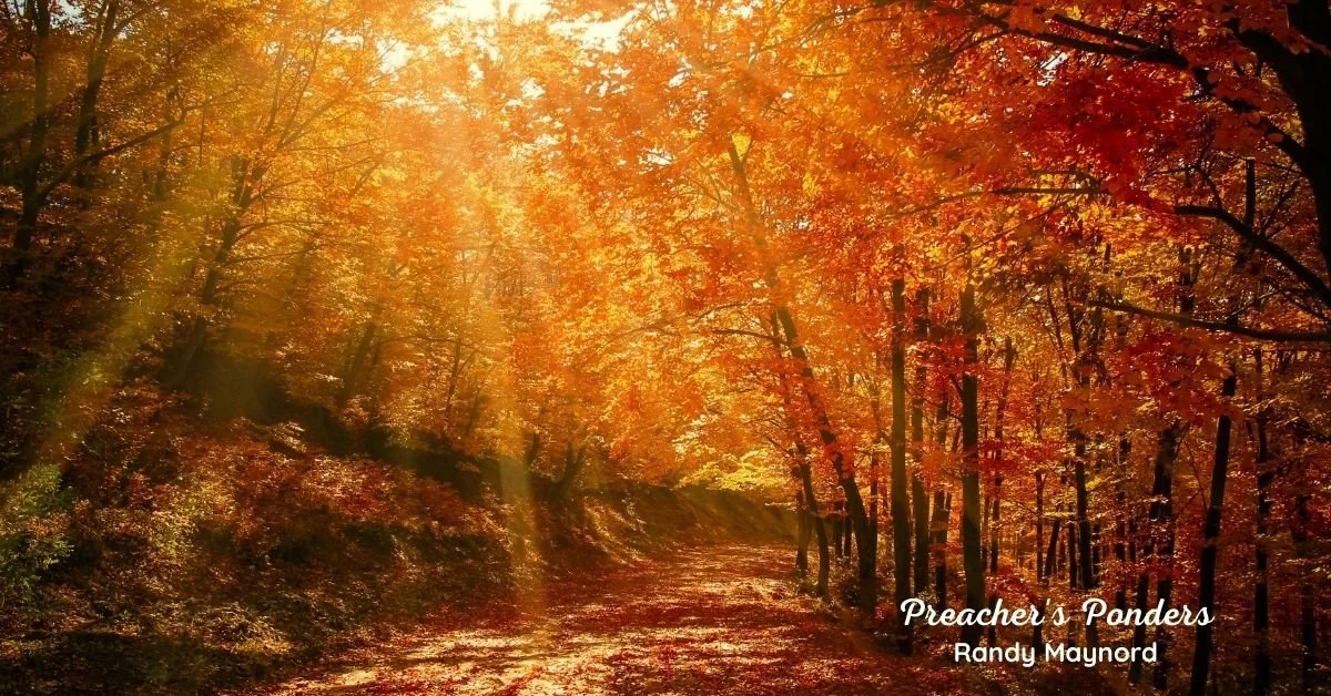 God's Handywork