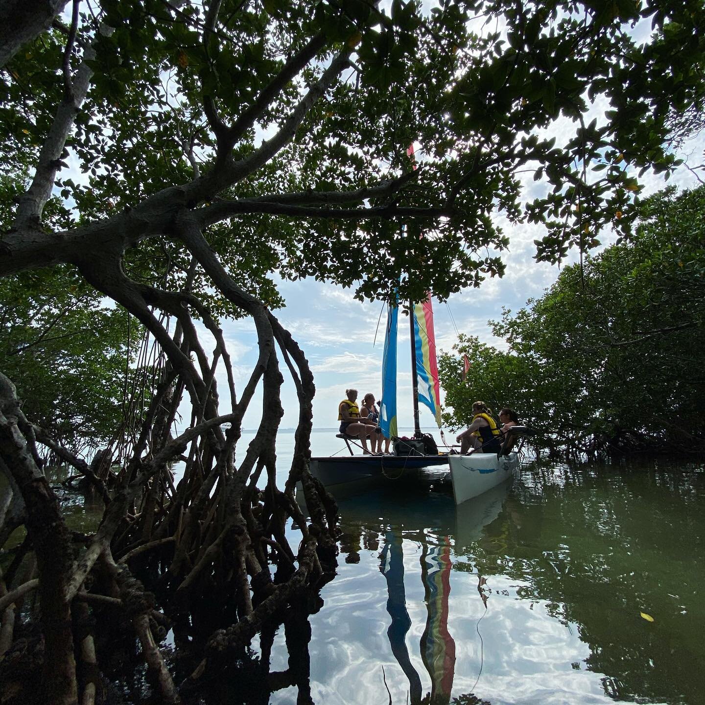 Celebrating Earth Day in the mangroves 🌎 🌳 #biscaynebay #earthday