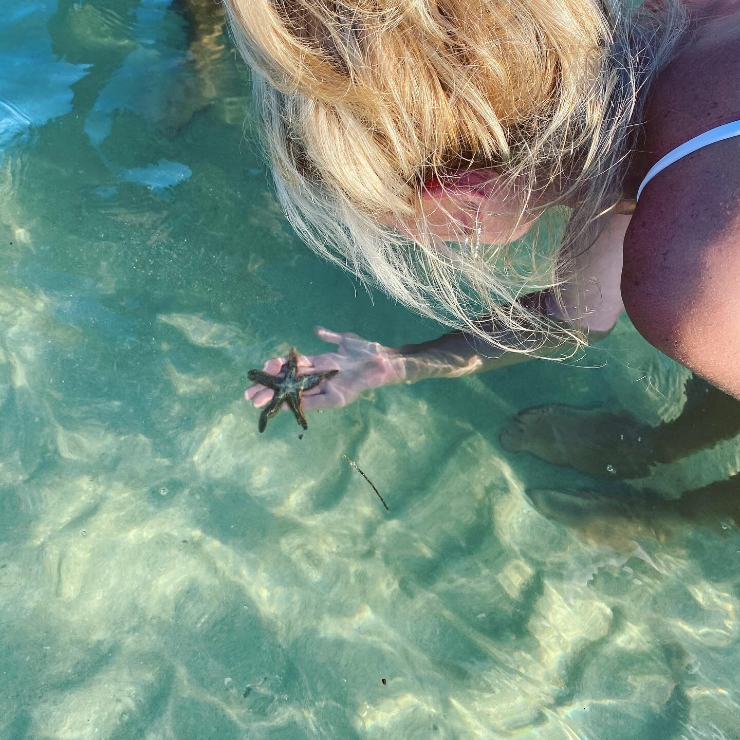 Yesterday, we saw a starfish / sea star on the sandbar ⭐️

We didn&rsquo;t take it out of the water and gently picked it up with sand to avoid contact, we put it back in the same spot.

We realized that when we started sailing the Biscayne Bay, these