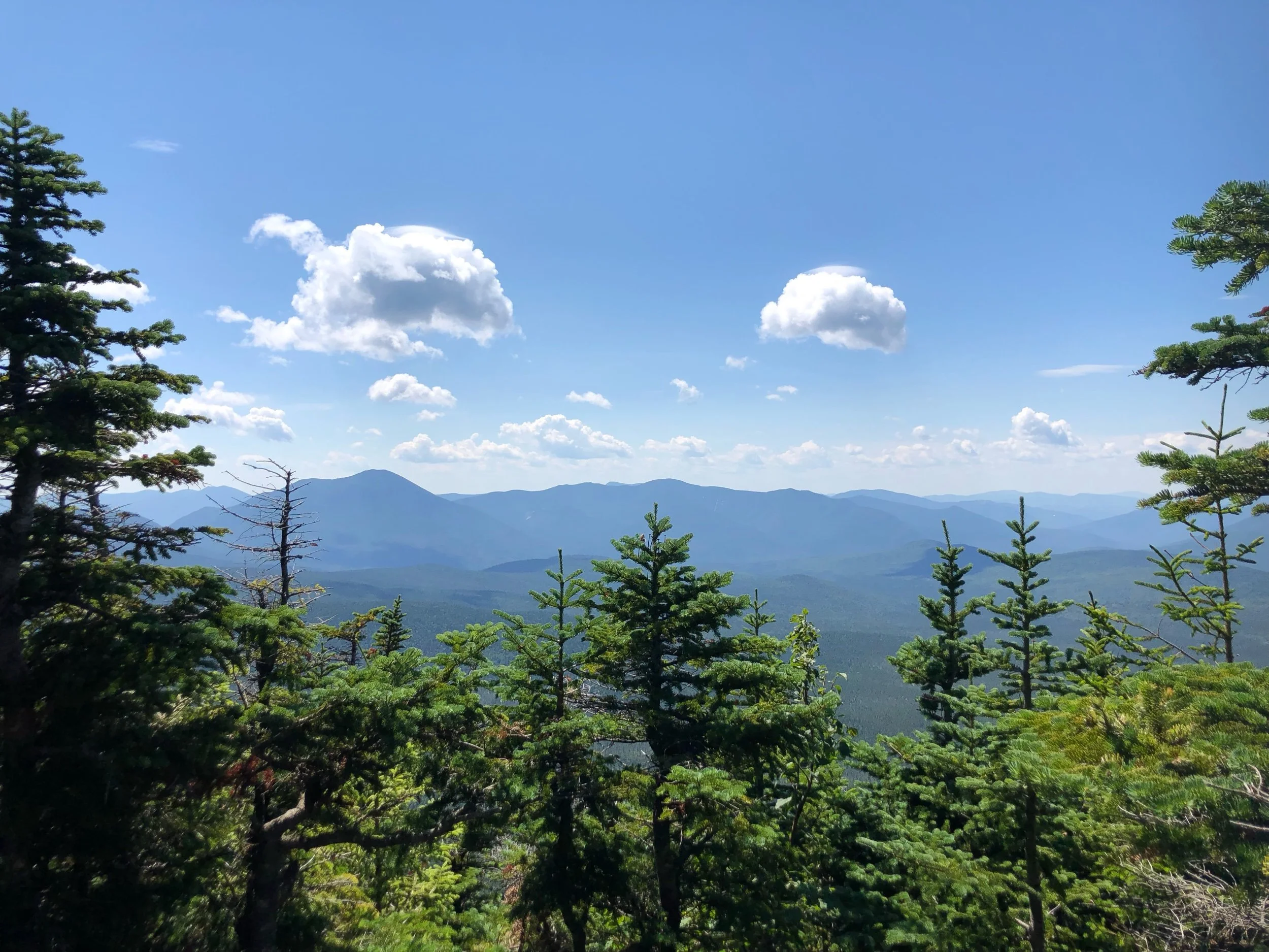IMG_0744.jpeg