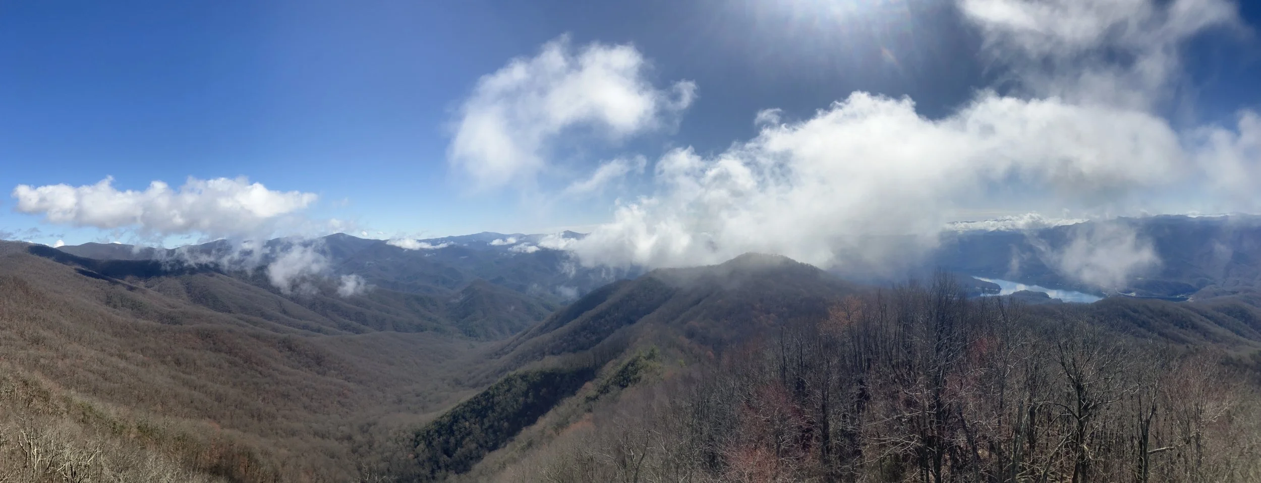 NC_Smokies_Trail2.jpeg