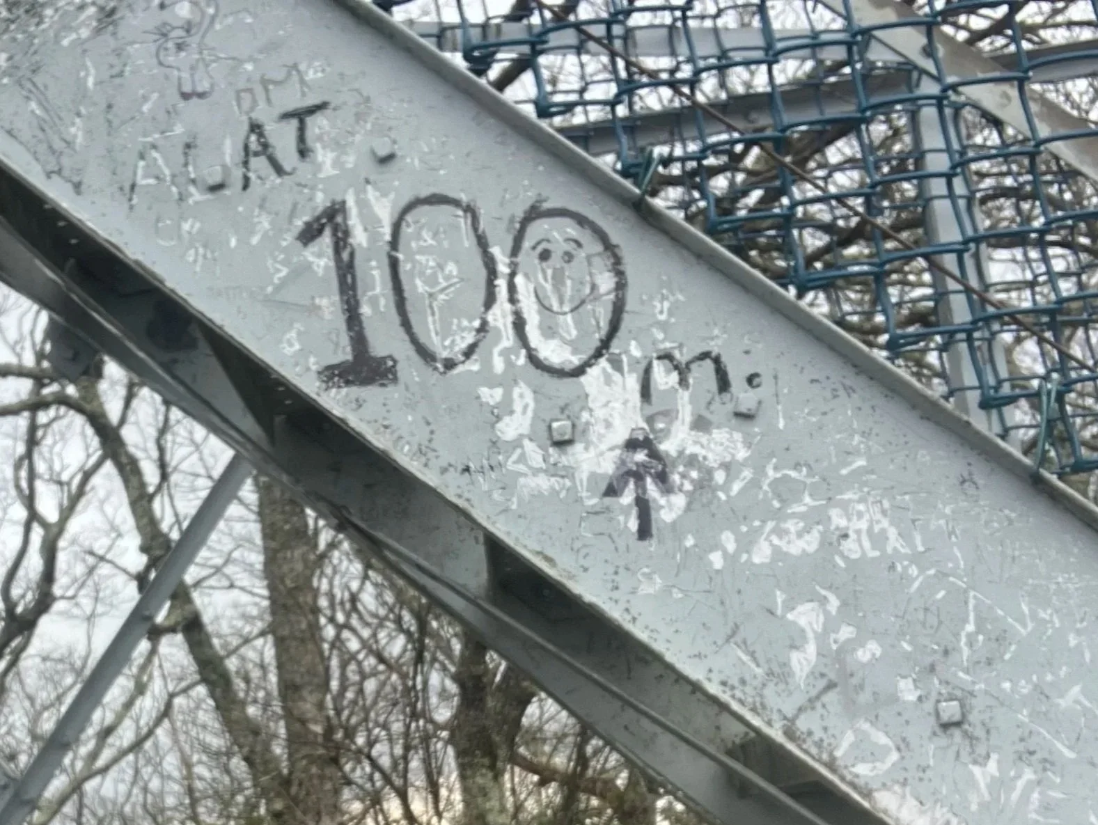 100.jpg