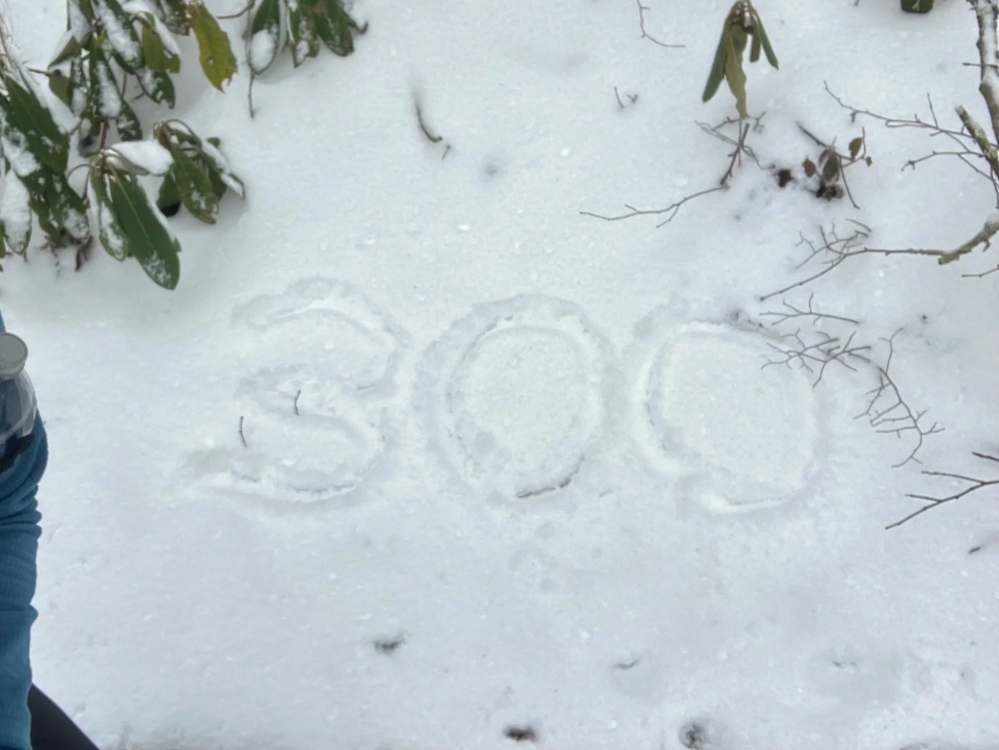 300.jpg