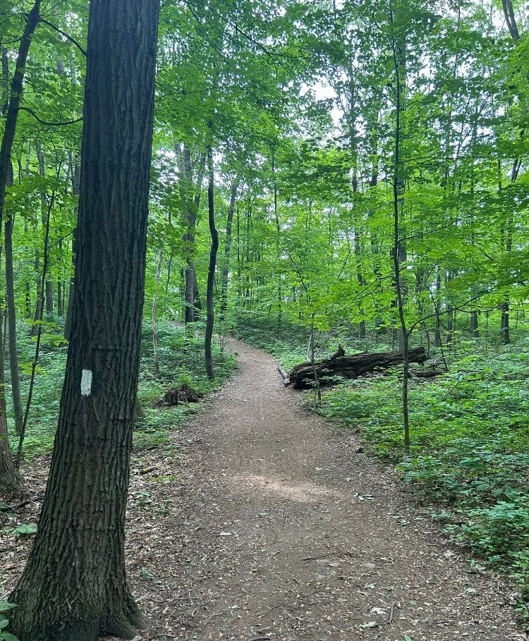 NJ_Vernon_Trail1.jpeg