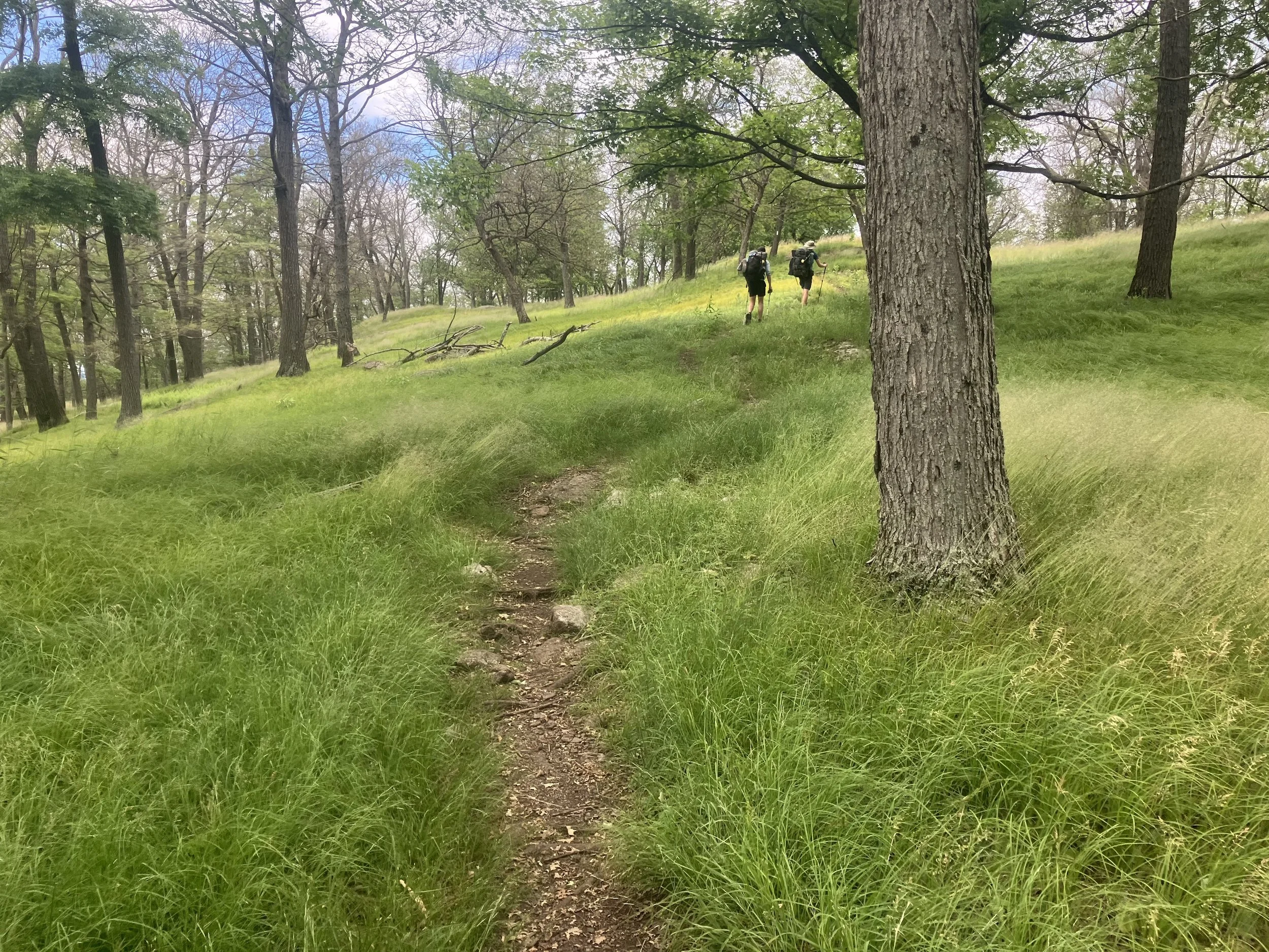 NY_Warwick_Trail1.jpeg