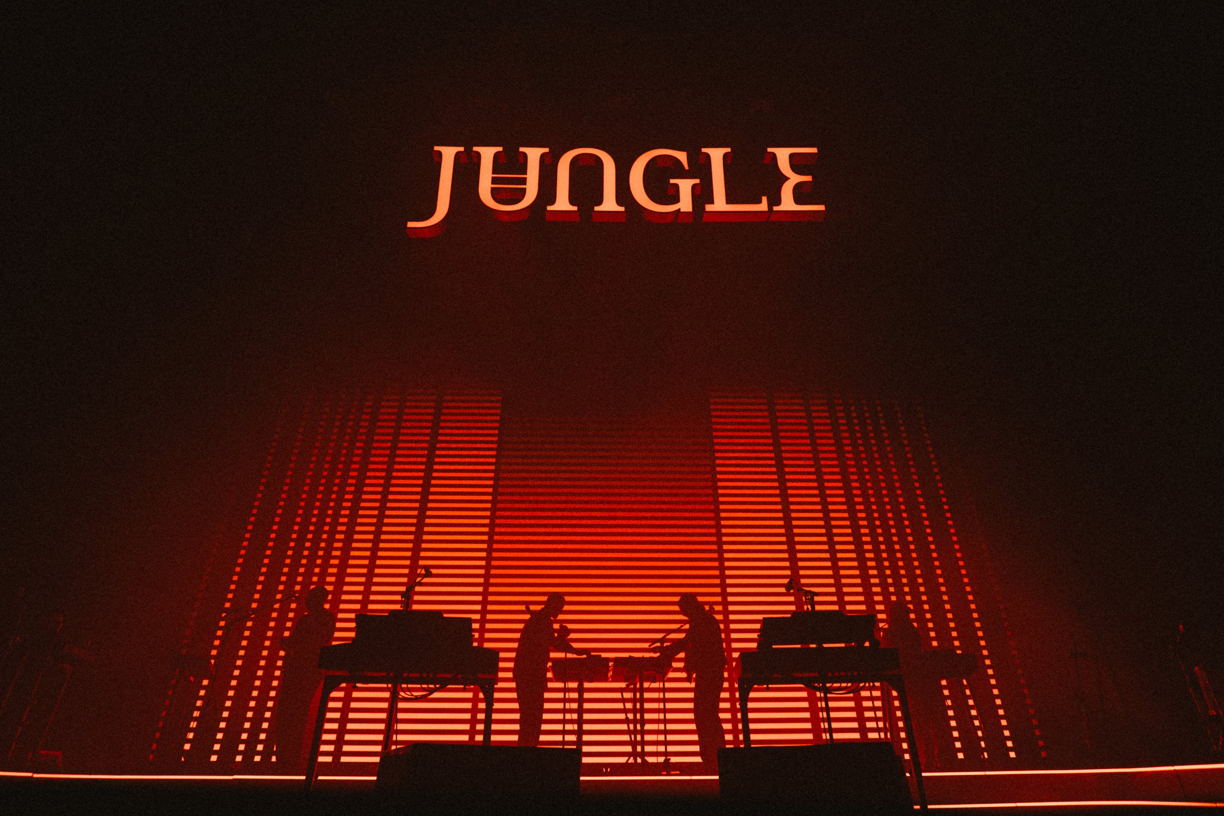 Jungle00023.jpg