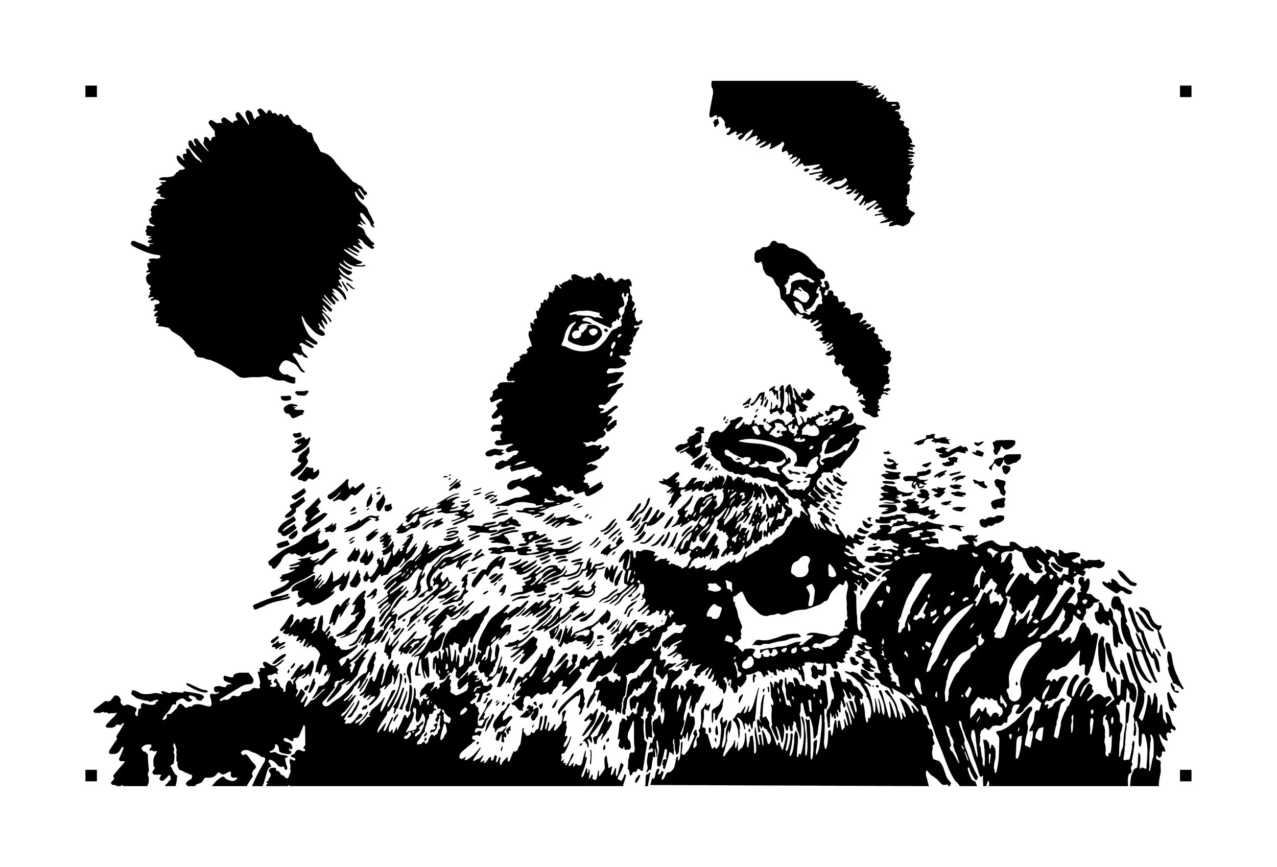 StayWild-Stencils_Page_7.jpg