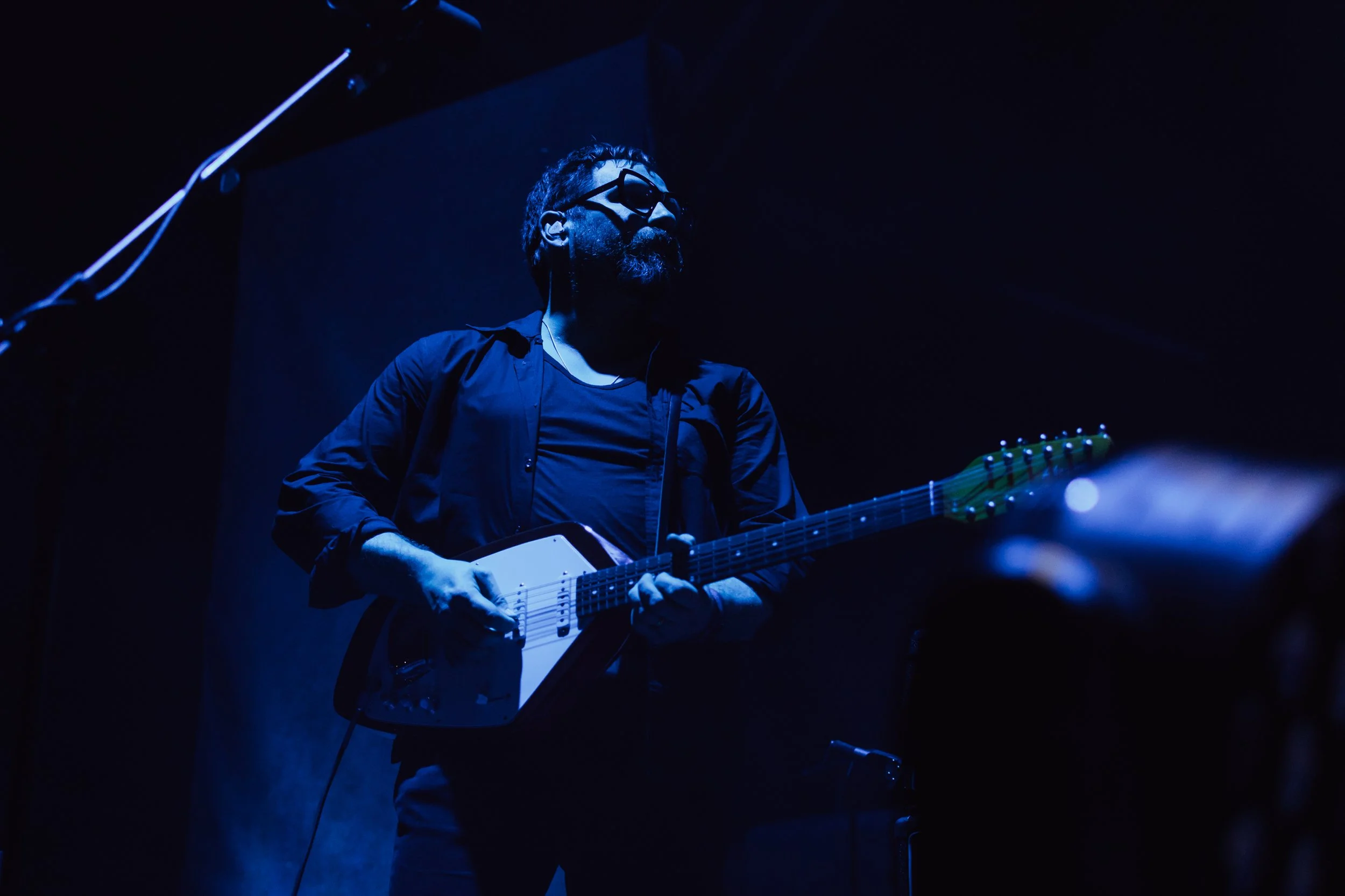 fleet foxes (night 1) -26.jpg