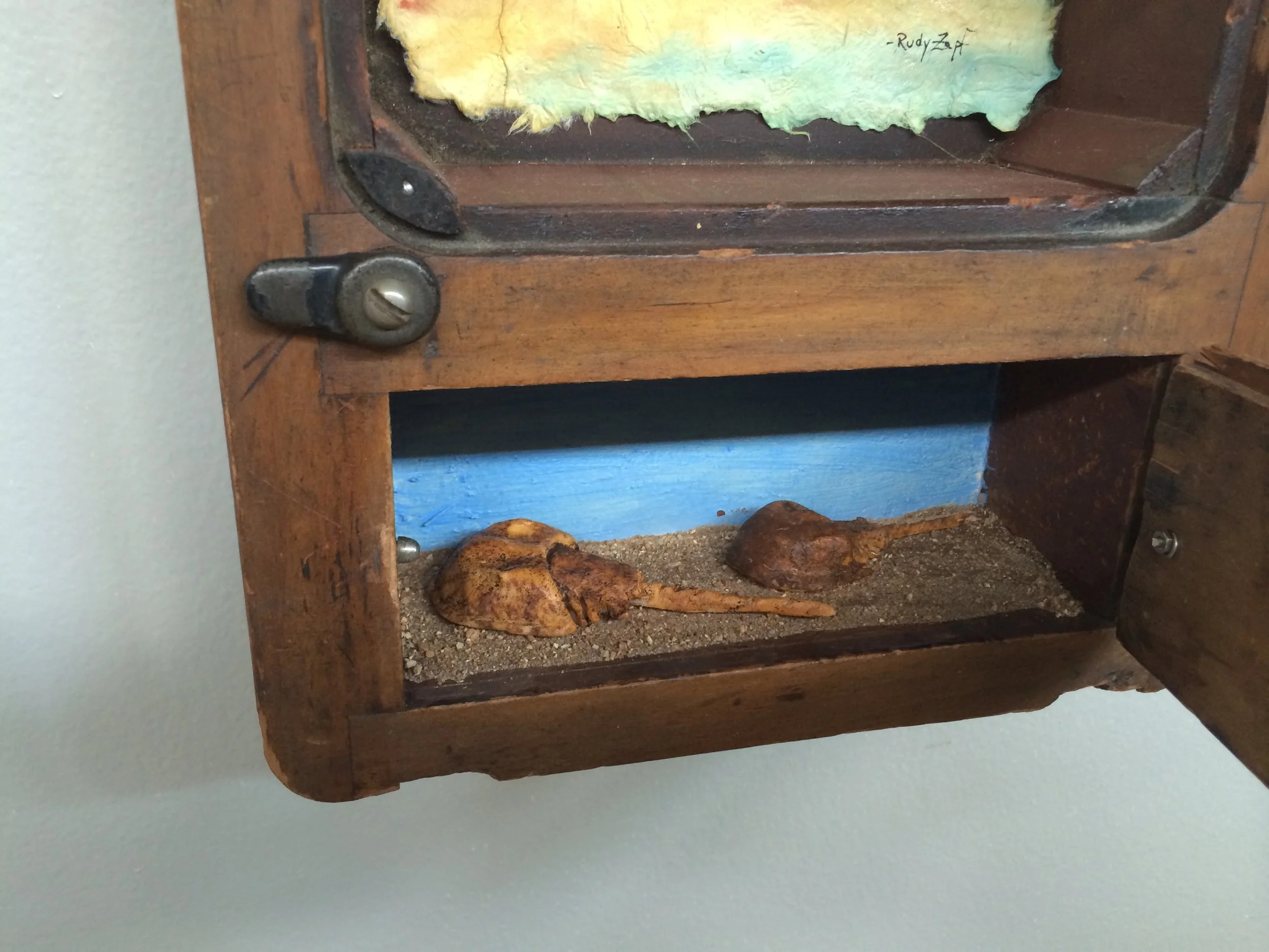 What I Learned at the Cape (d).JPG