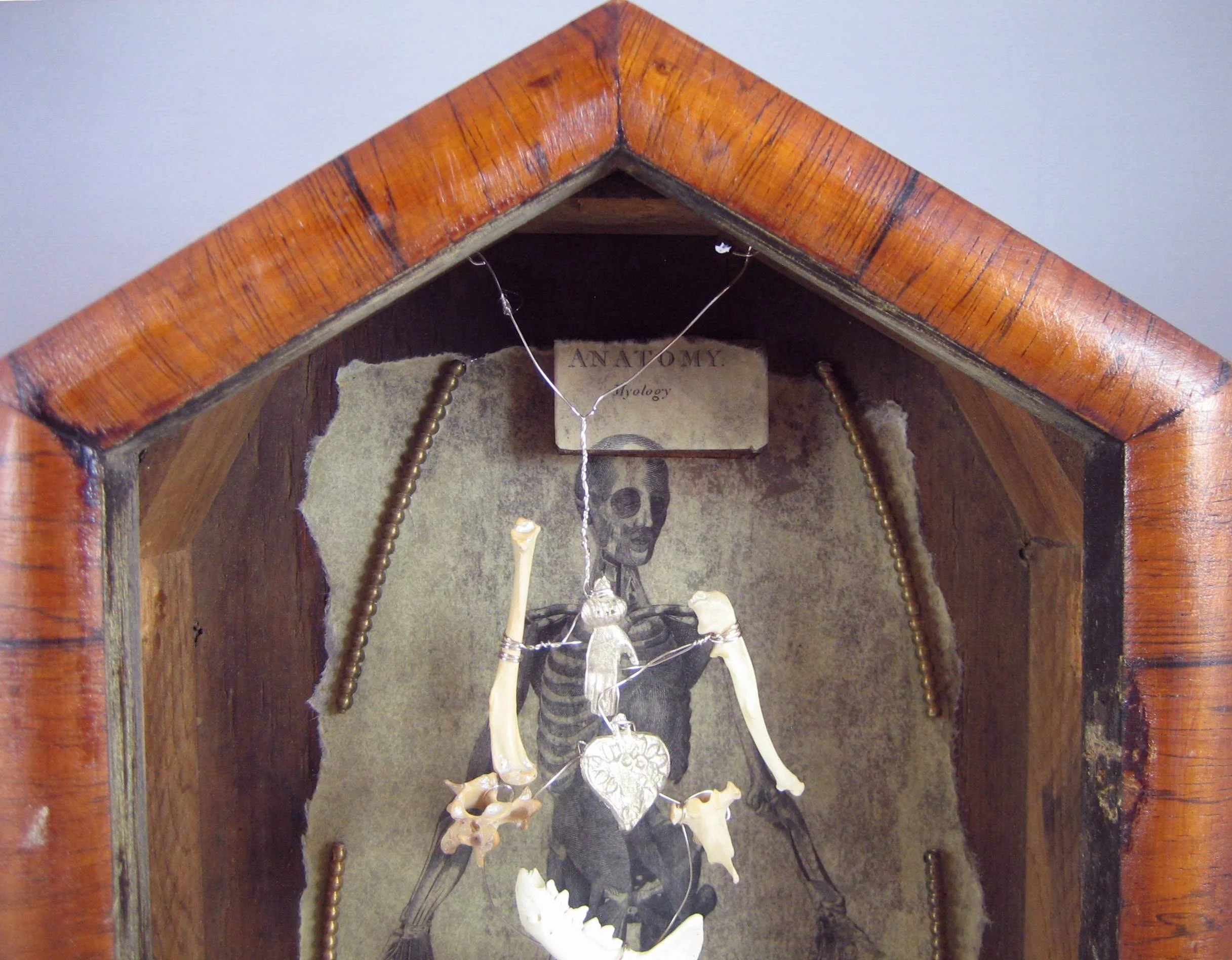 Anatomy II (detail).jpg