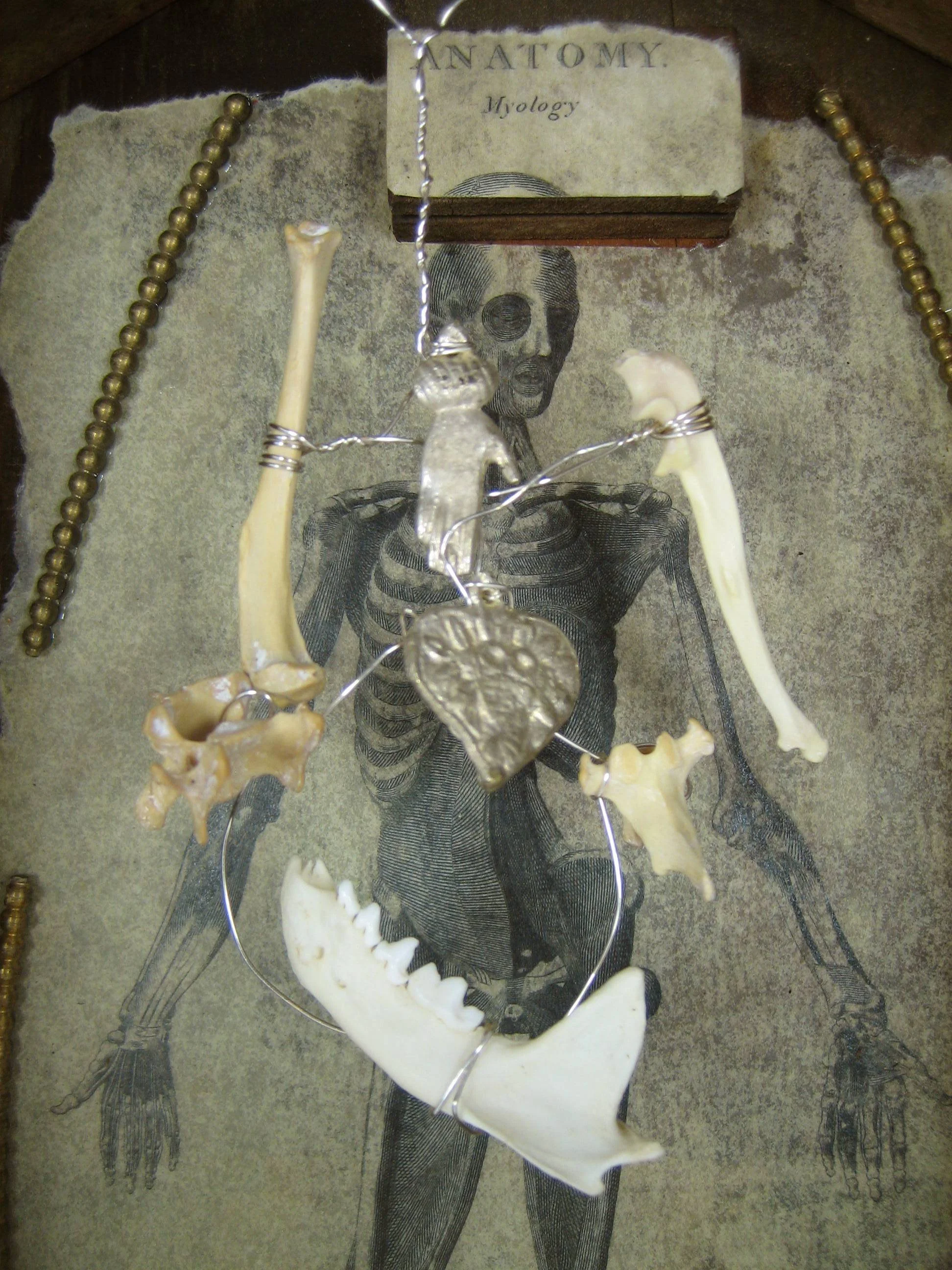 anatomy II_detail.jpg