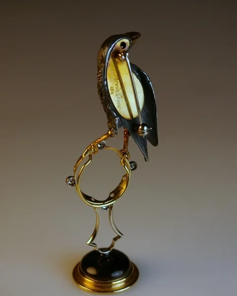 raven d back view.jpg