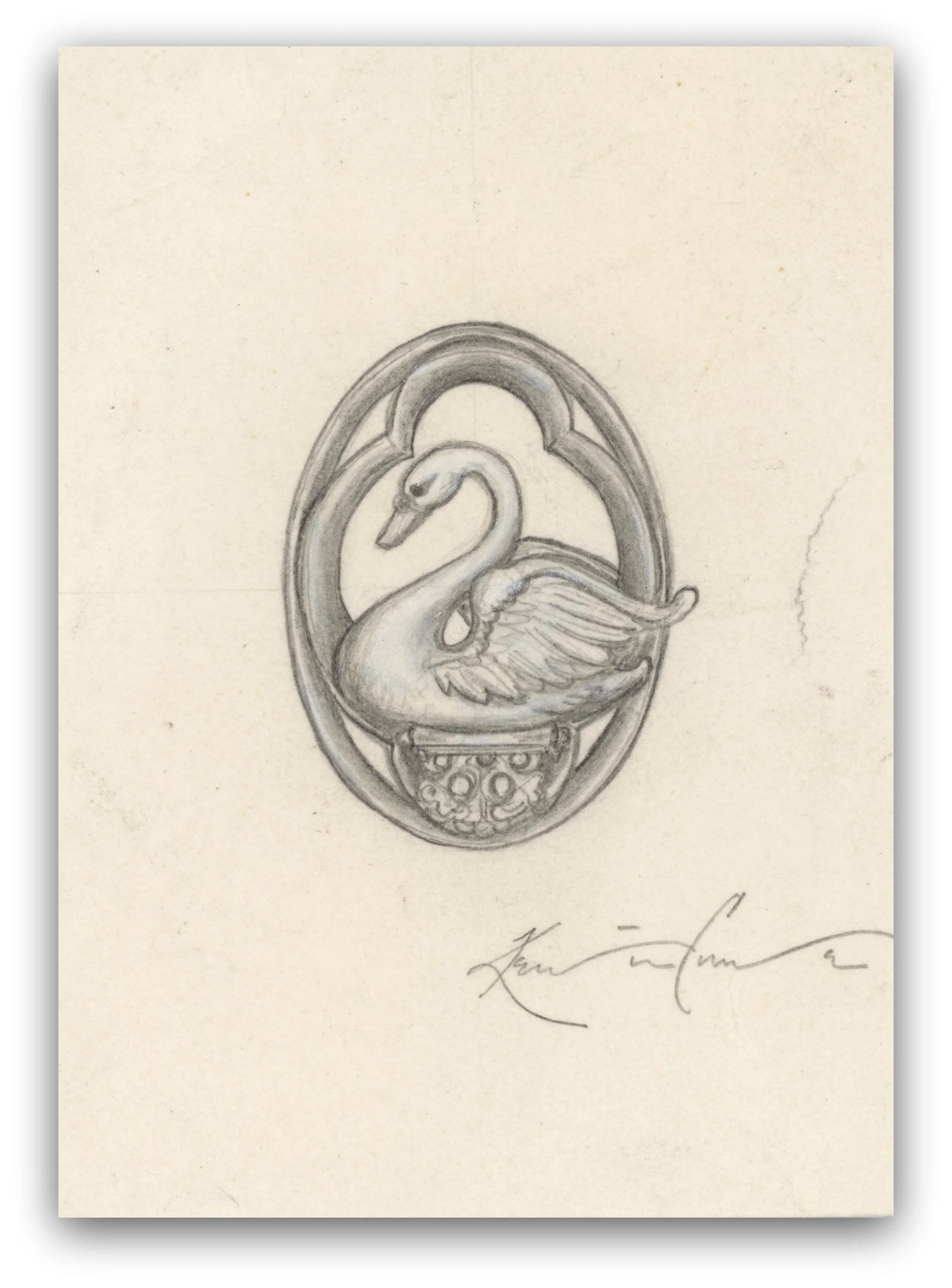 Swan Drawing