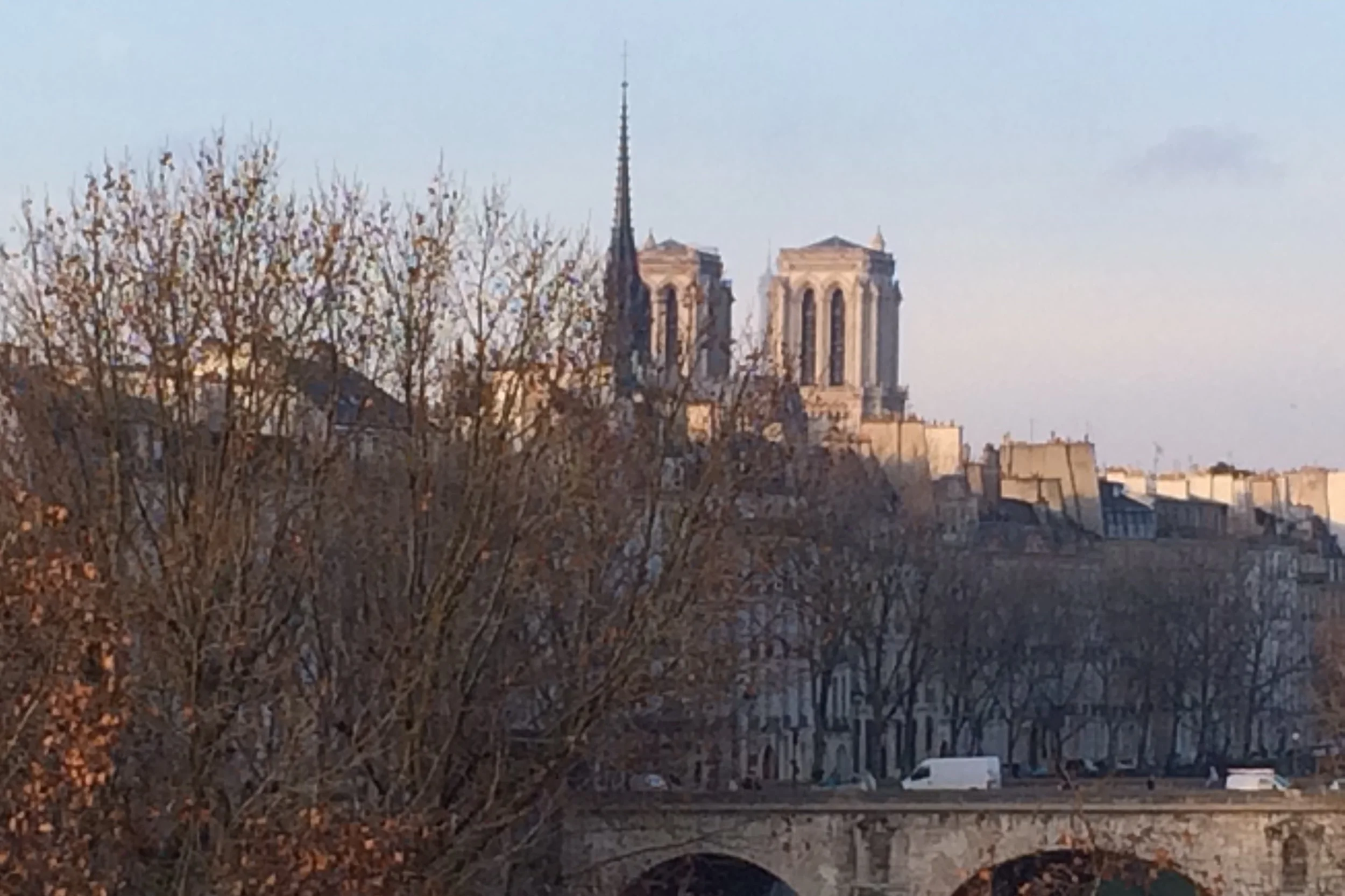 IMG-1822.jpg