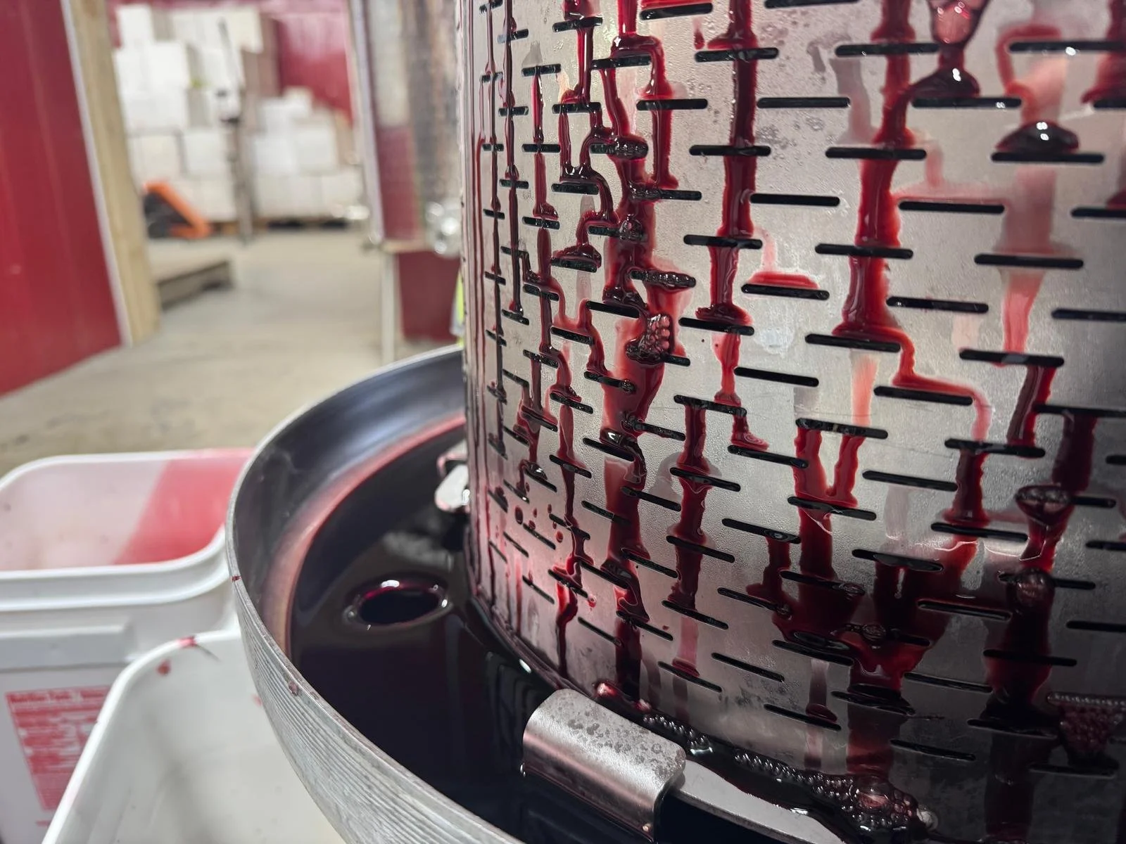 WhatsApp Image 2026-01-27 at 7.51.35 AM.jpeg