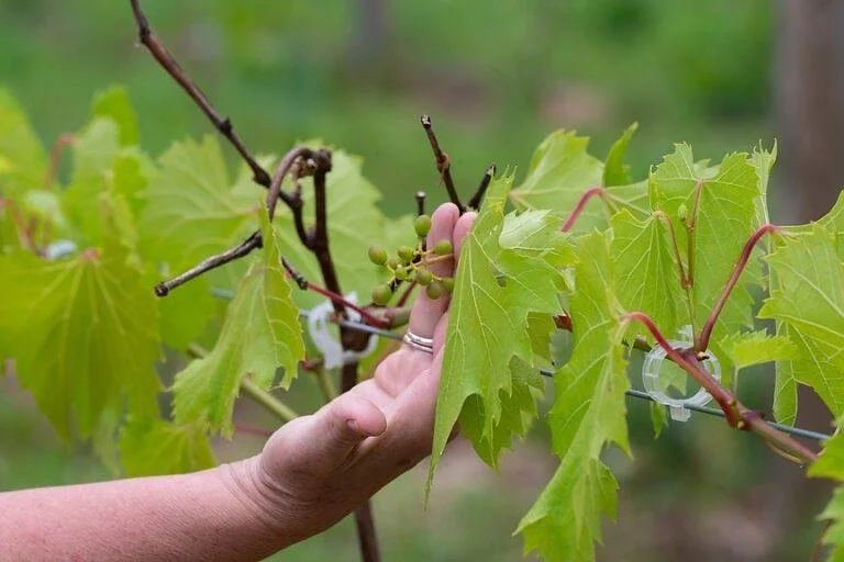 WhatsApp Image 2026-01-28 at 4.26.33 AM.jpeg