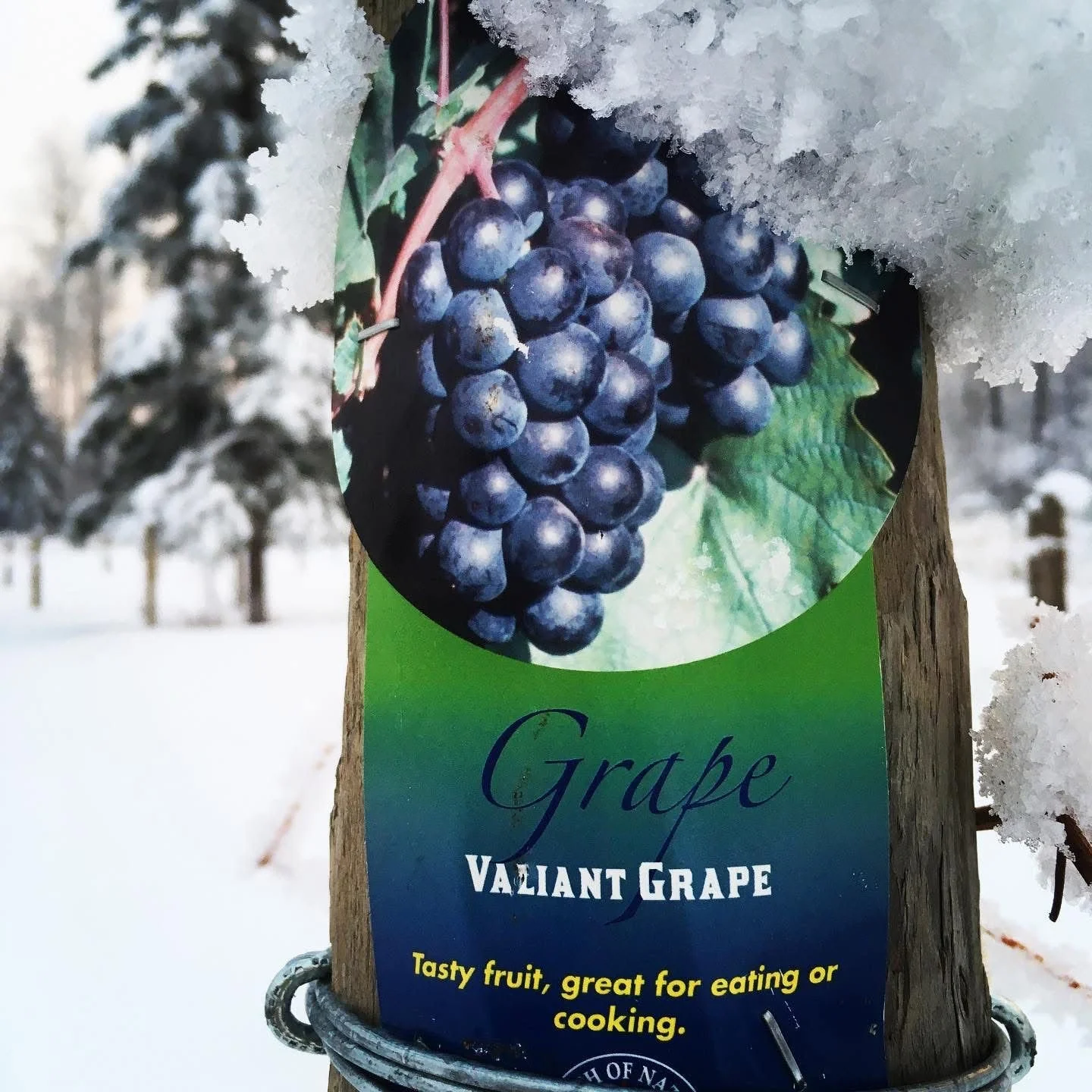 WhatsApp Image 2026-01-28 at 5.35.20 AM.jpeg