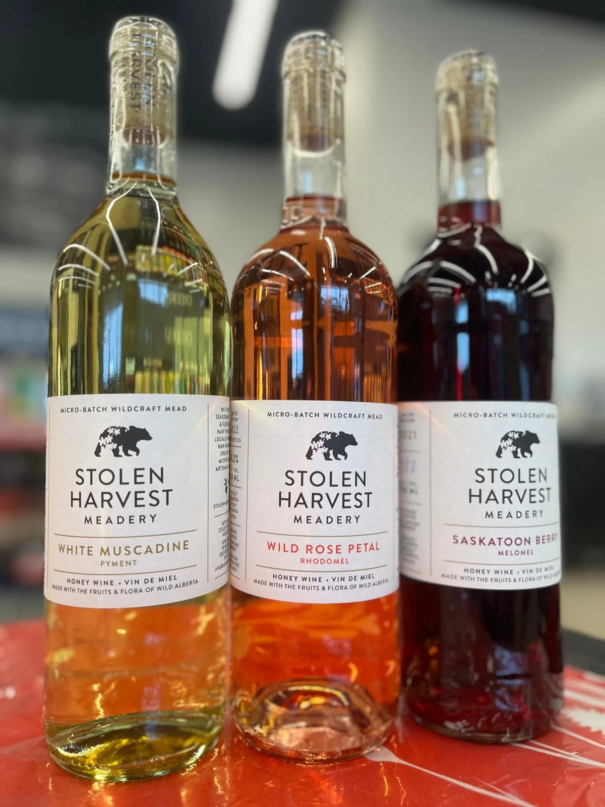 WhatsApp Image 2026-01-21 at 5.25.33 AM.jpeg