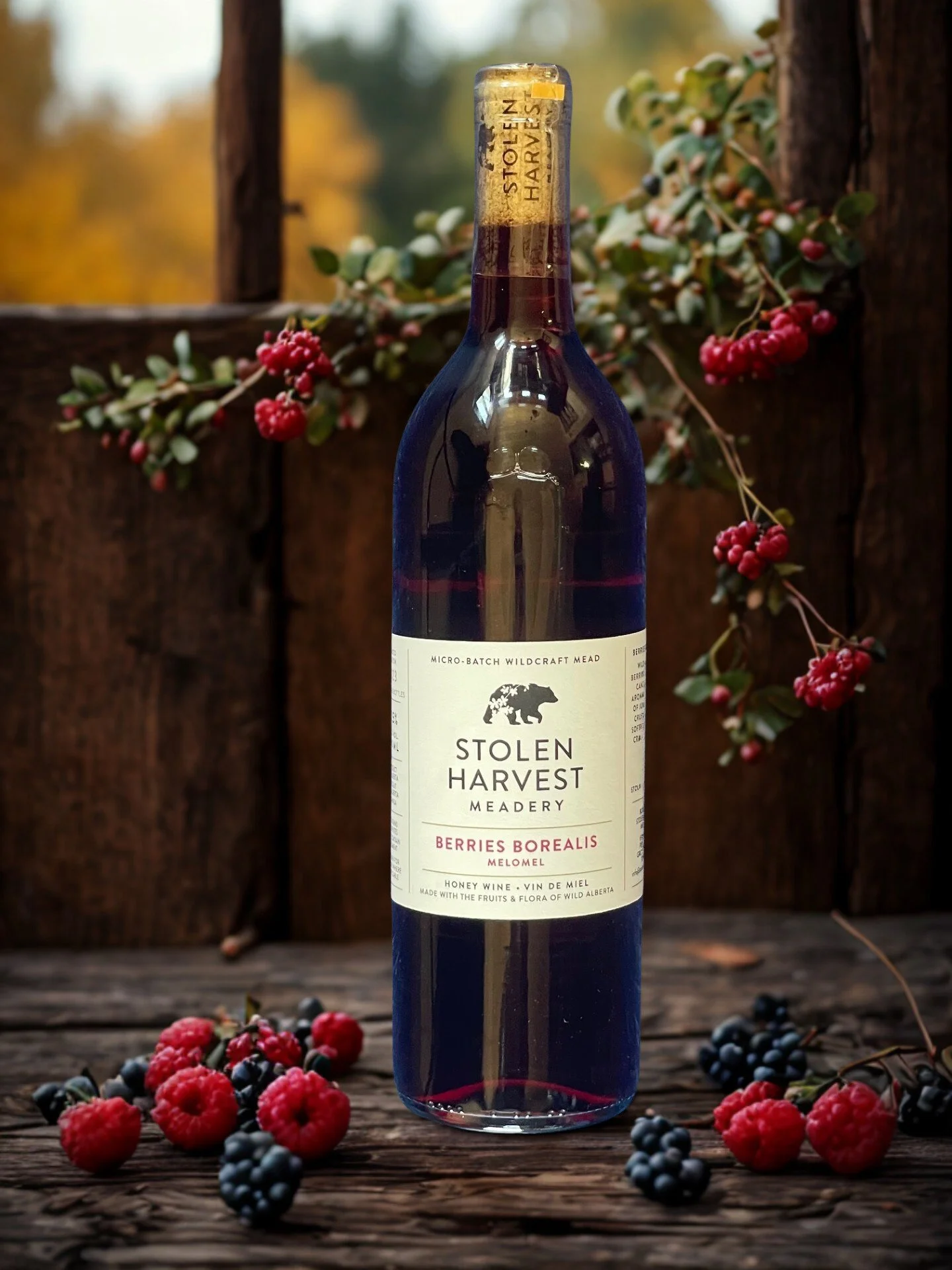 Borealis - Edited.jpg