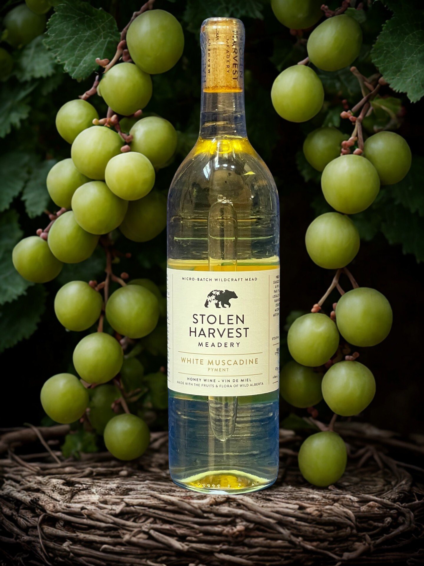 Muscadine - Edited.jpg