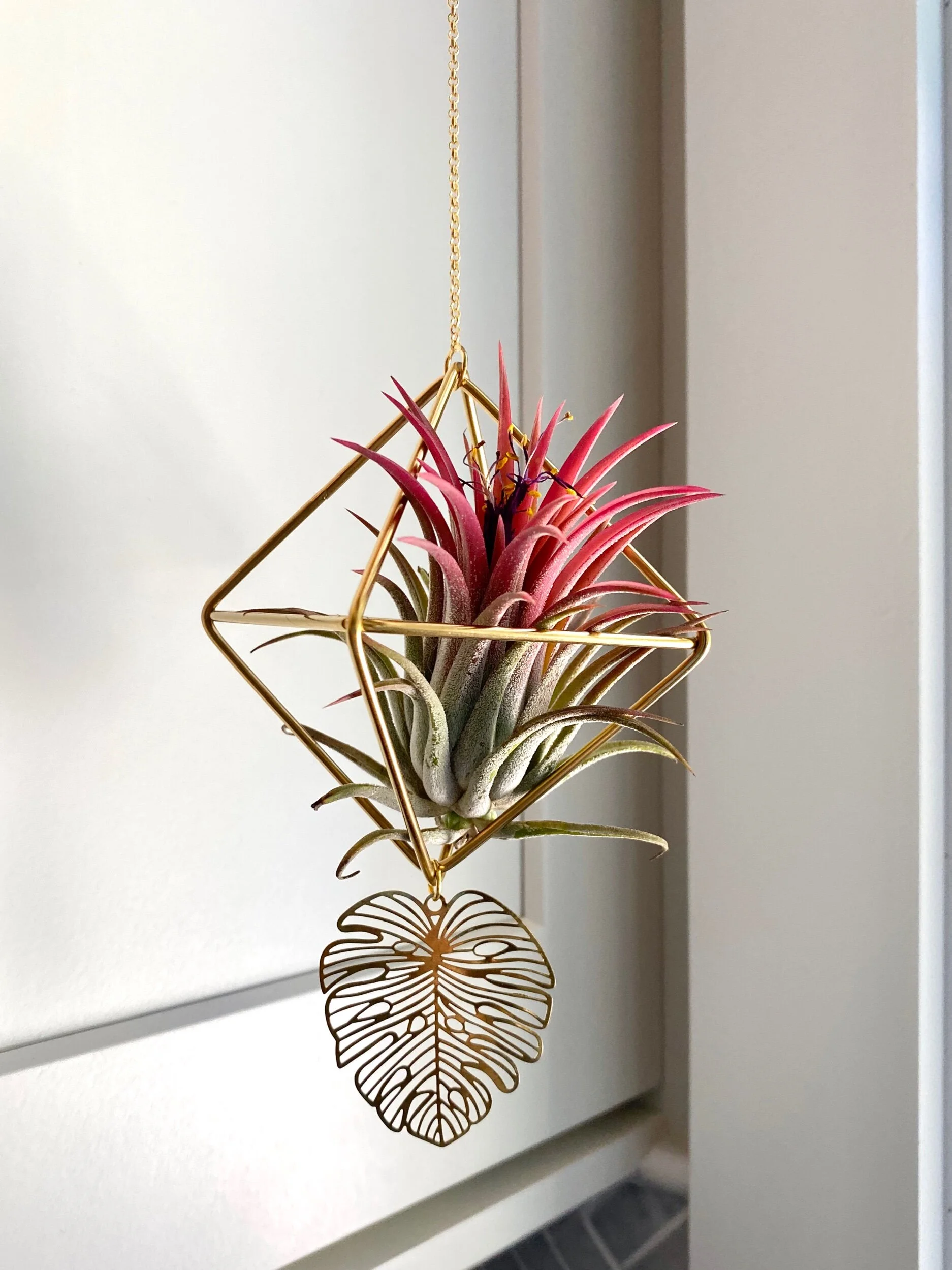 5B8BA1B1-C624-4AD9-B581-0E3CC148738A