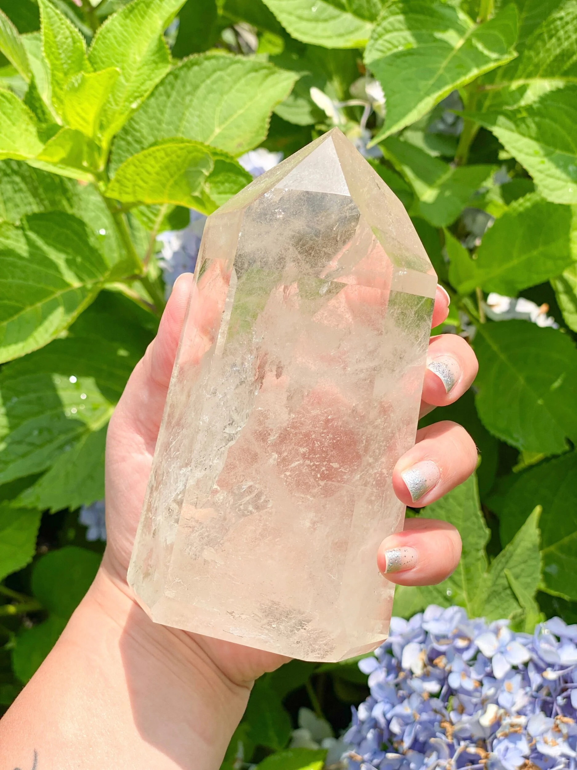 06C0A3A2-4205-4FCE-AA4F-9E742CD75714