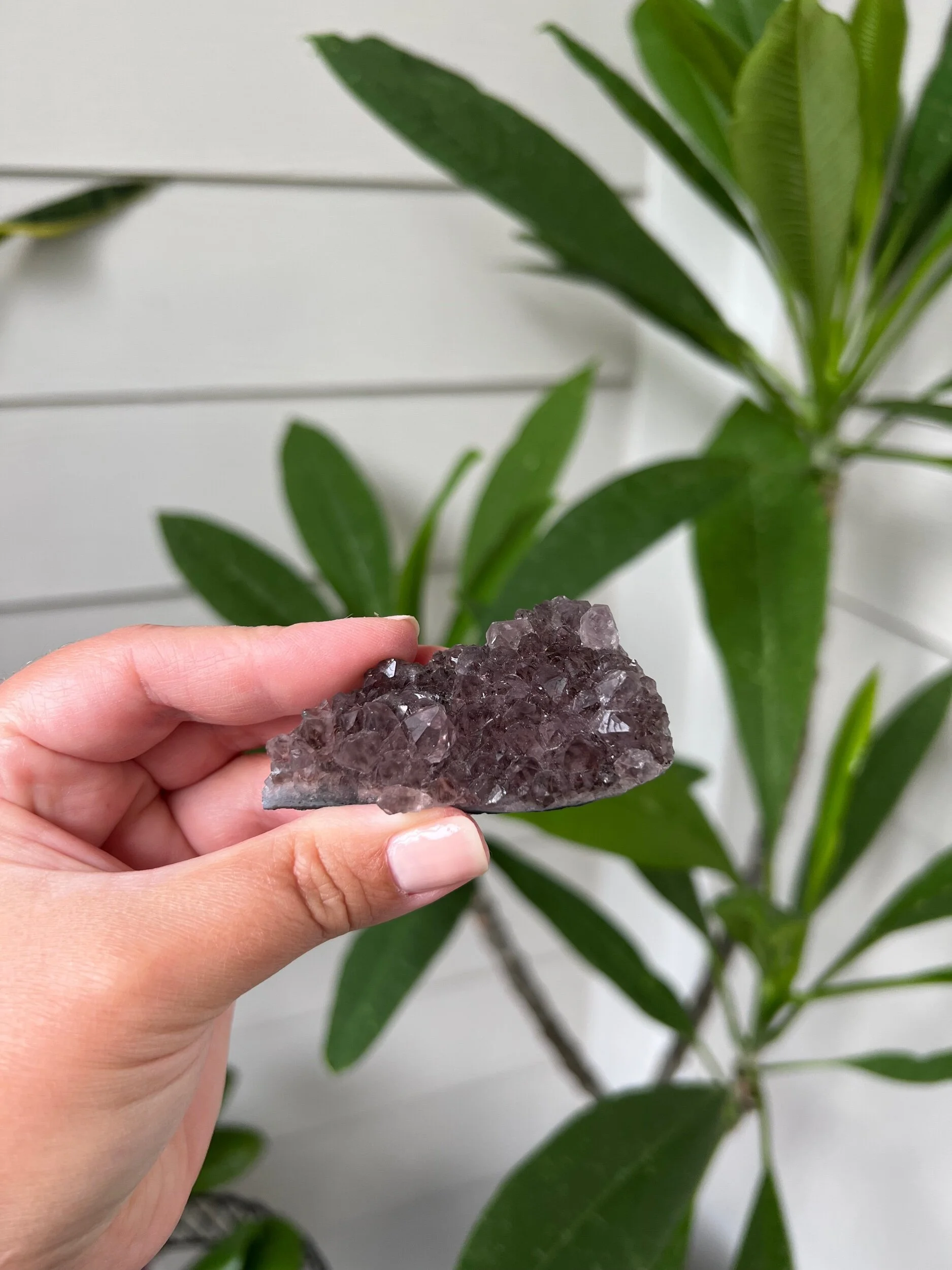 2EEF97AE-2257-4D02-B3EA-B6A40A3FC0DA