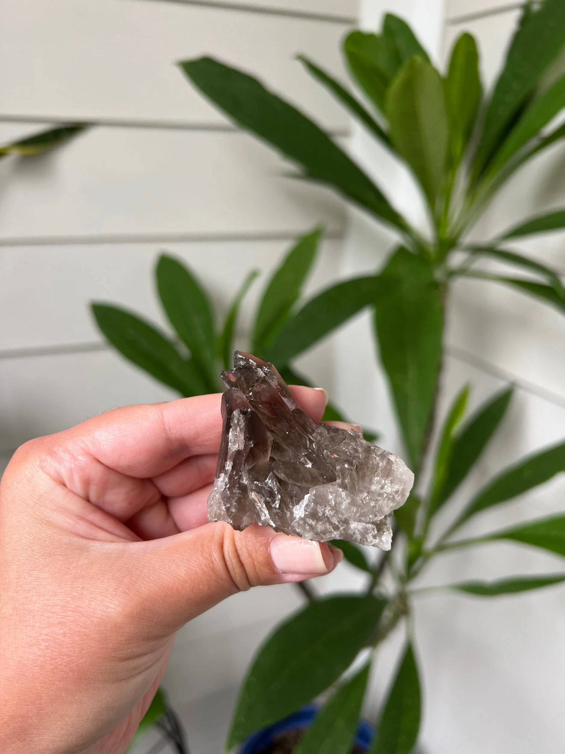 D71D661E-E1D8-4D97-9E7C-744525489BA9