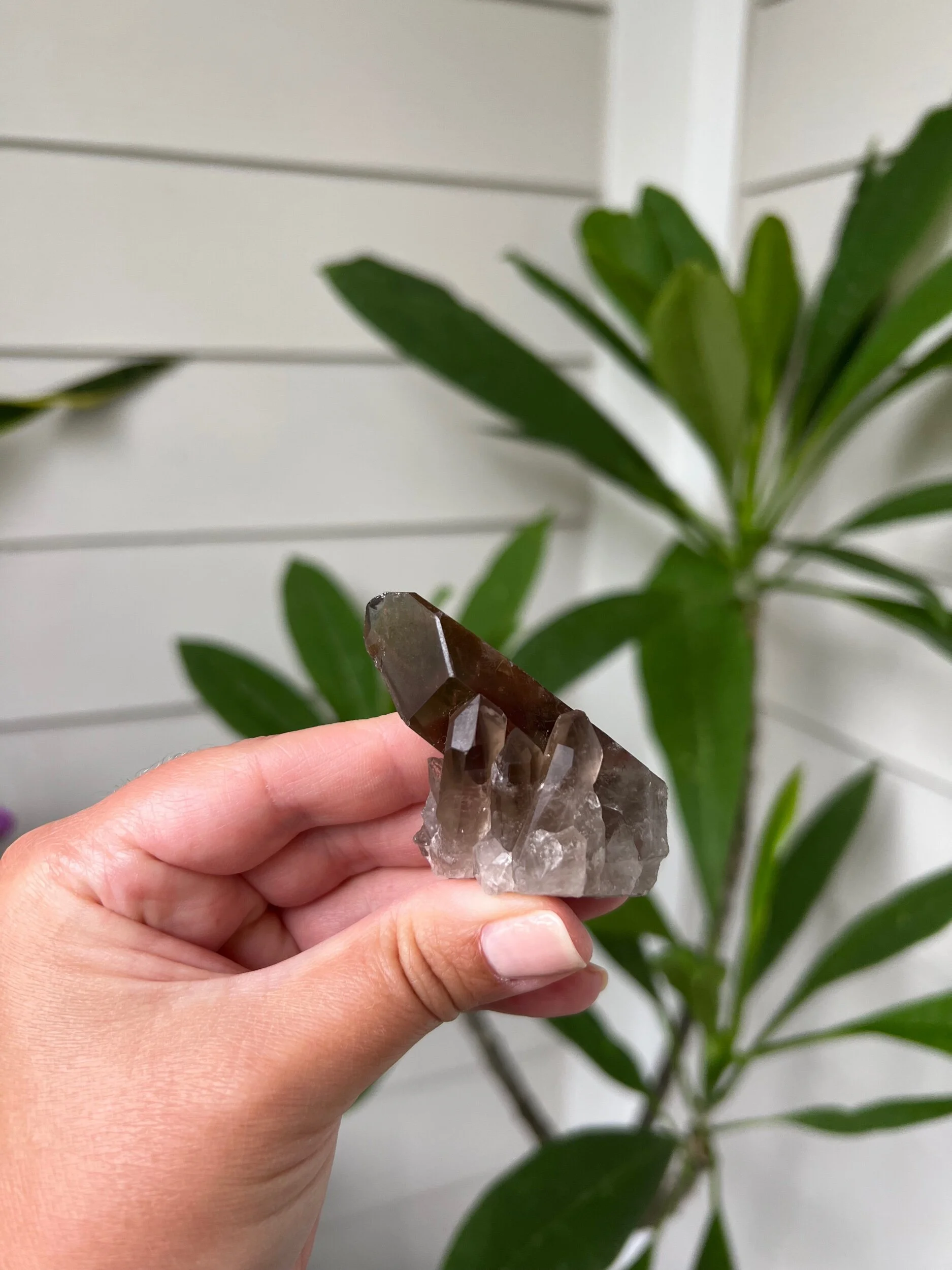 76E24A18-1468-44CE-85A3-8FE93BE636E6