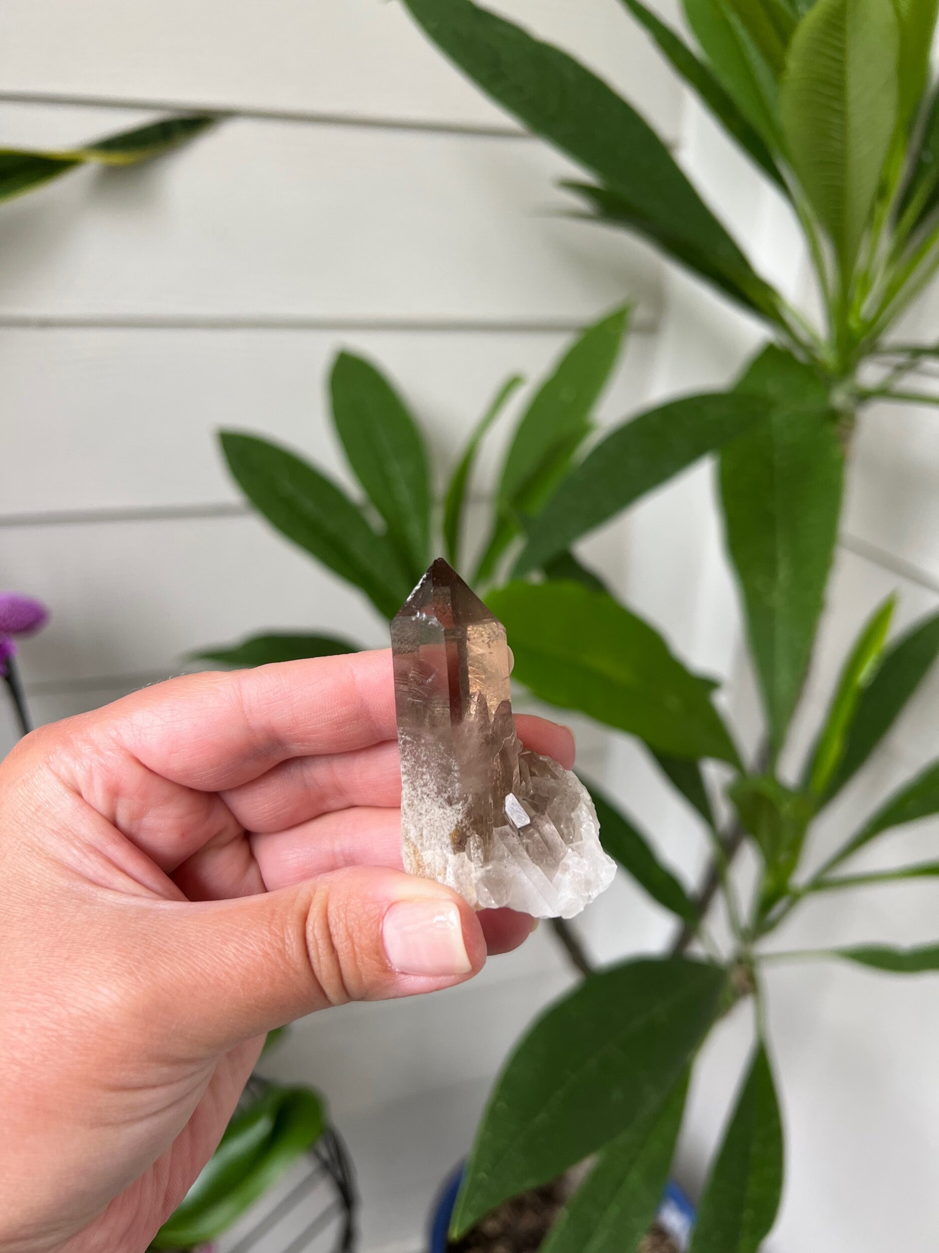 2A0BFEEE-EA0E-46FF-B3D9-5A7F9E775FEB