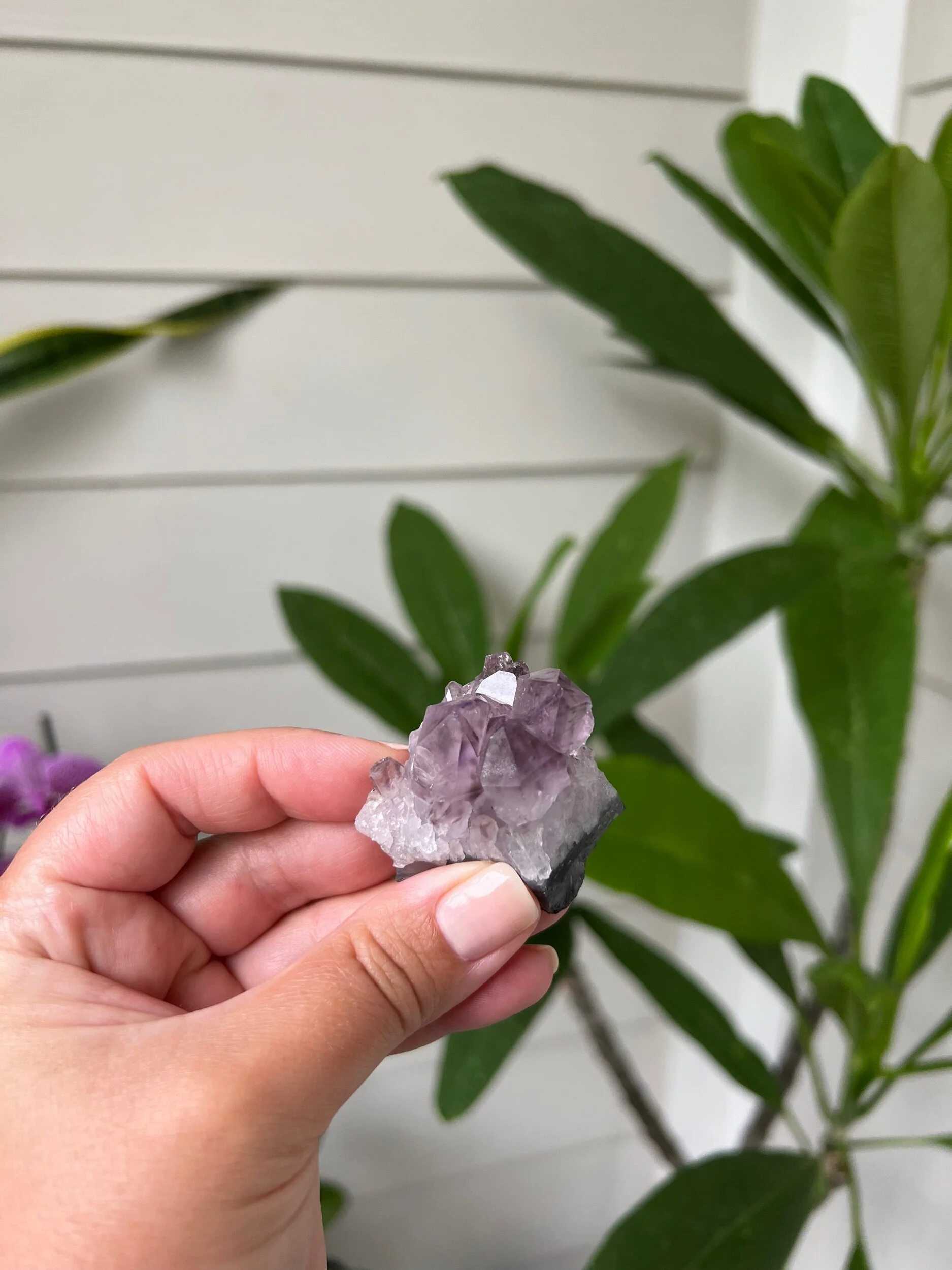 4CB0FDA2-5B91-4B34-8538-CAB390D2D20C