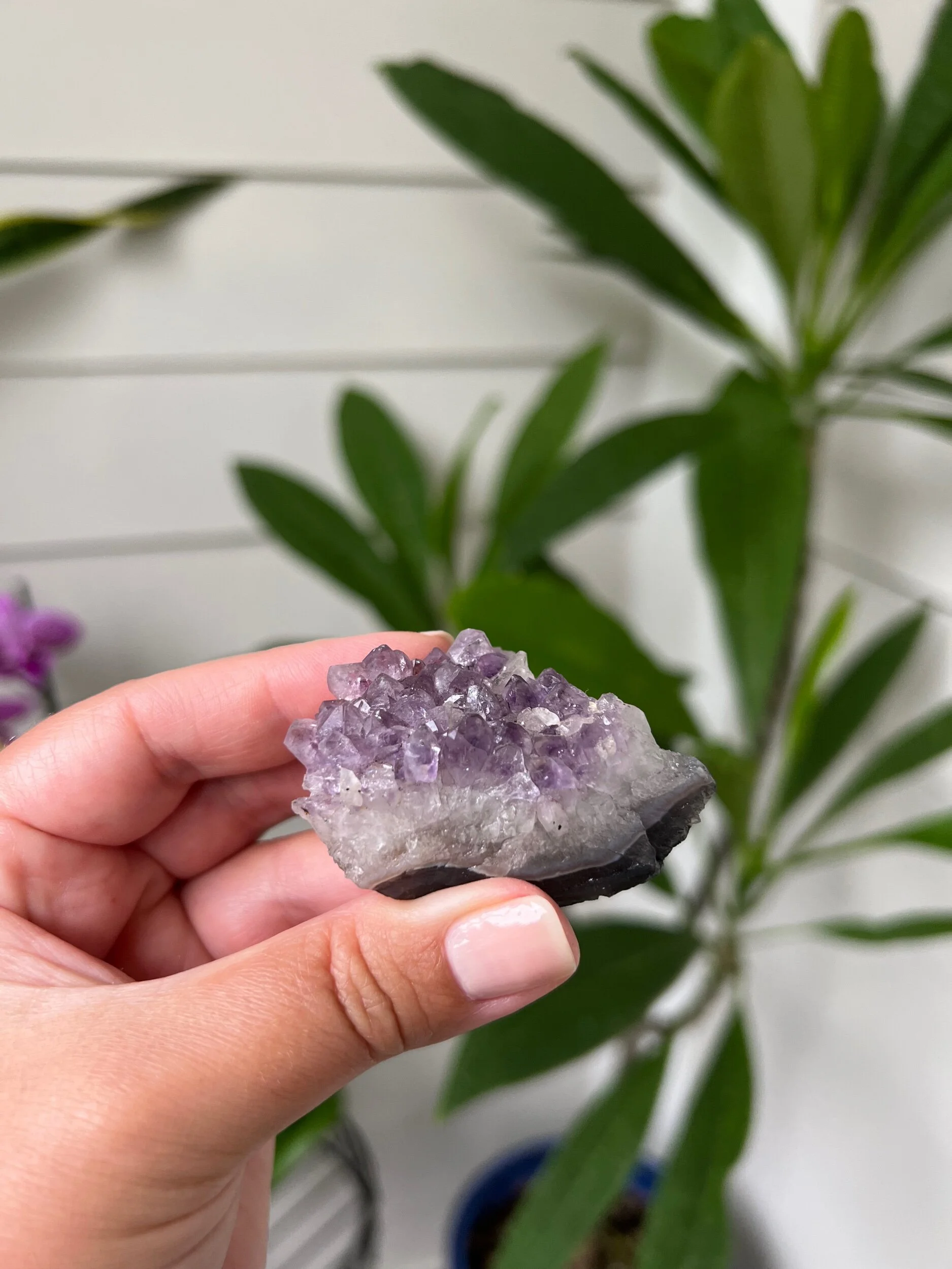 CE68FFB5-C142-440E-8CAE-2B09976B63A5