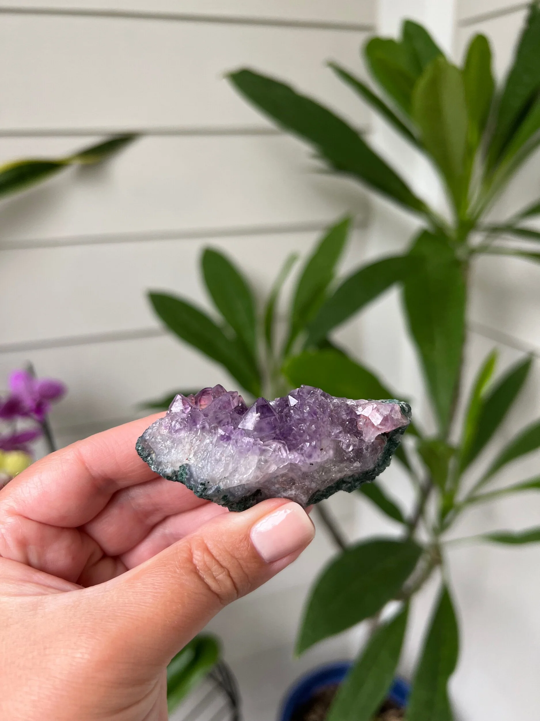 BA217011-7F18-416B-9523-502043FA9CFA