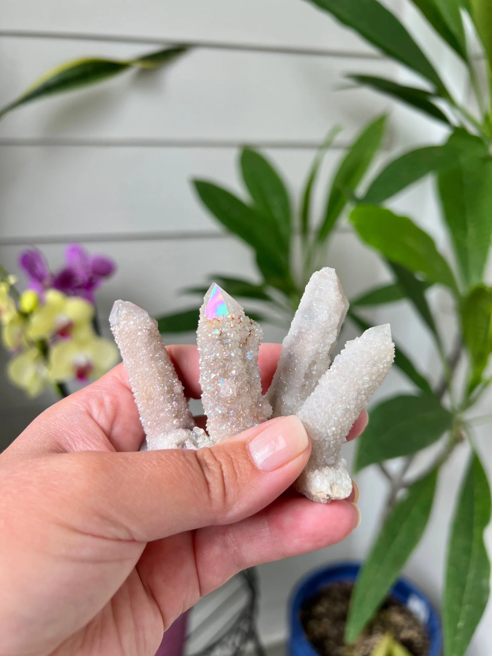 7980194C-E993-4318-BA8D-FD78A6D2D0E5