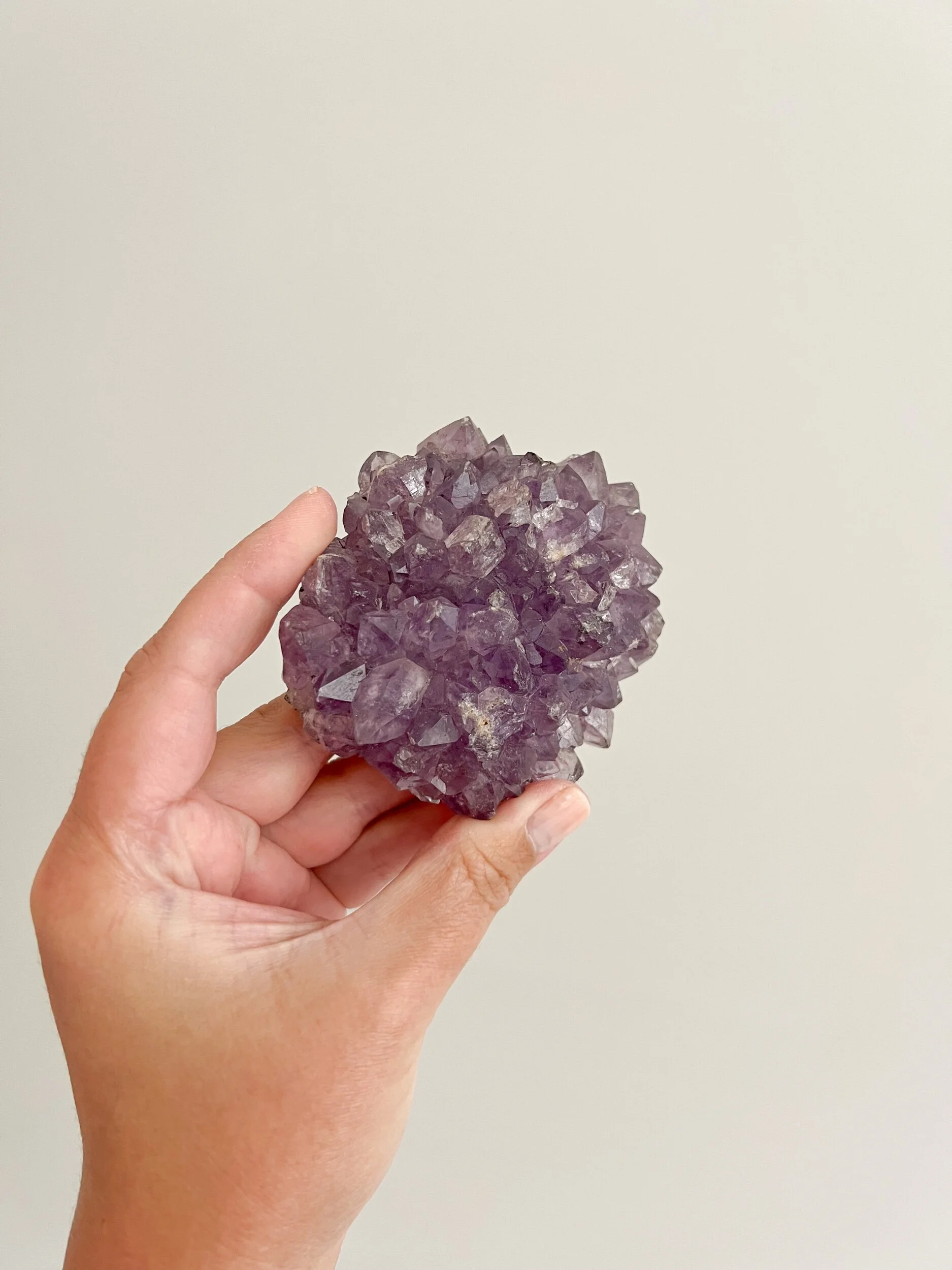 1325240C-5B43-4124-9DCF-70D51F7665EF