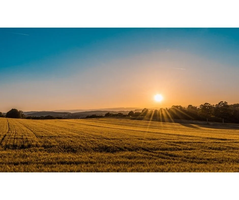 Land Investing Strategies