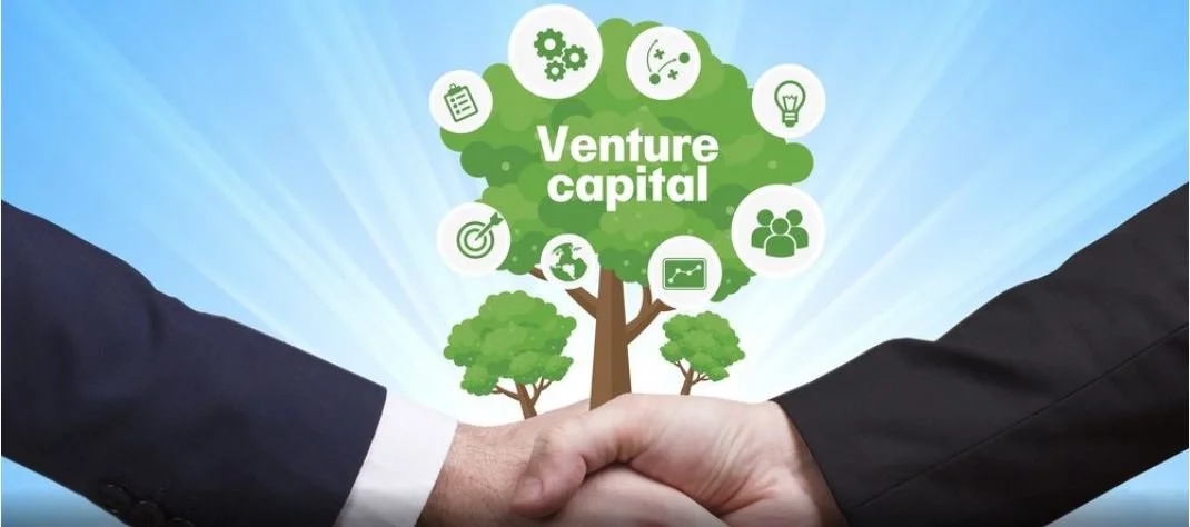 Leading the Plant-Based Food Revolution