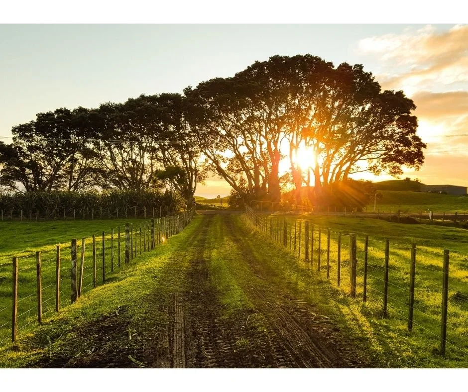 Land Investing Tip’s &amp; How to Scale your Investing Business
