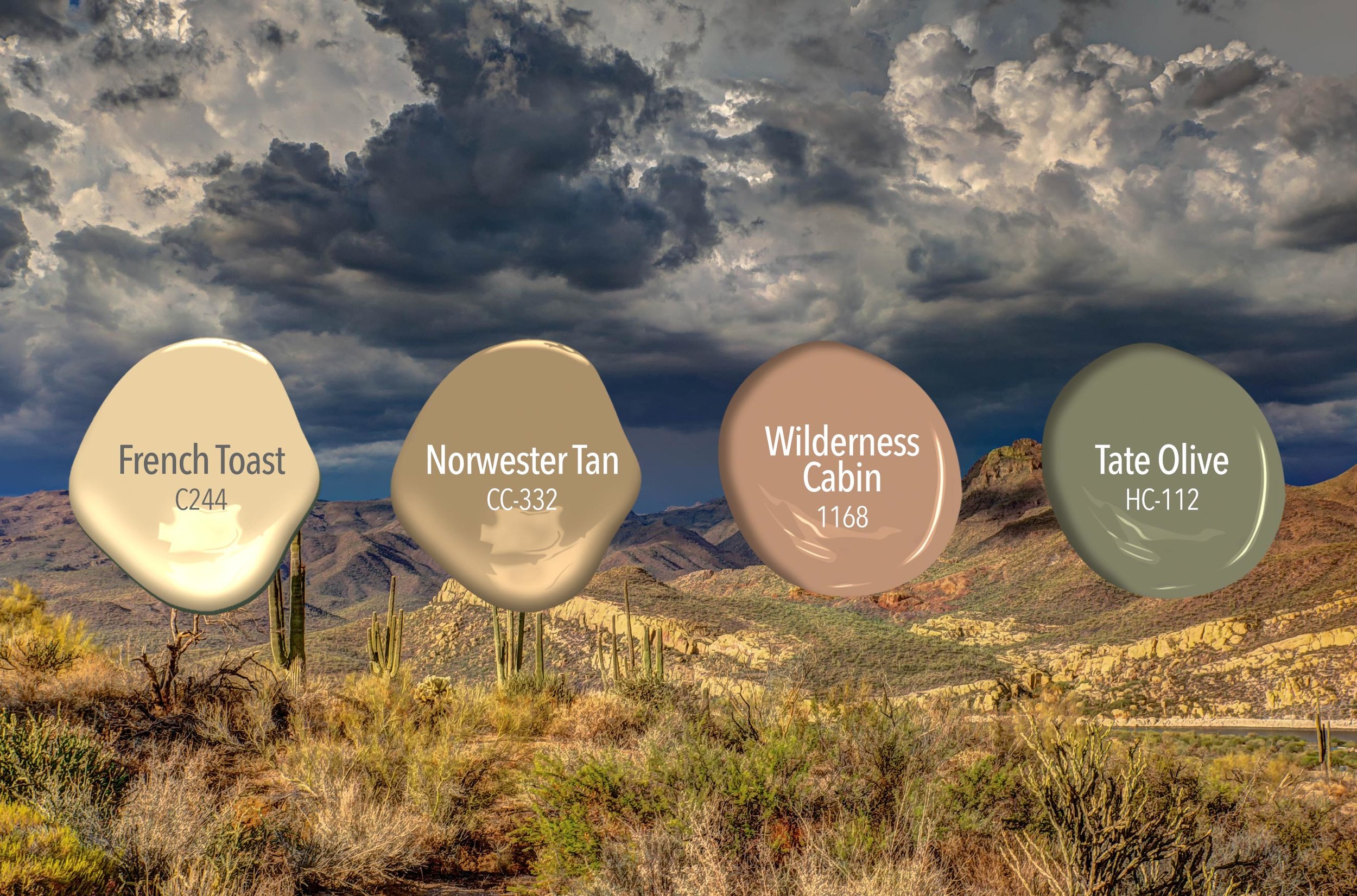 Nature-Palettes-Desert.jpg