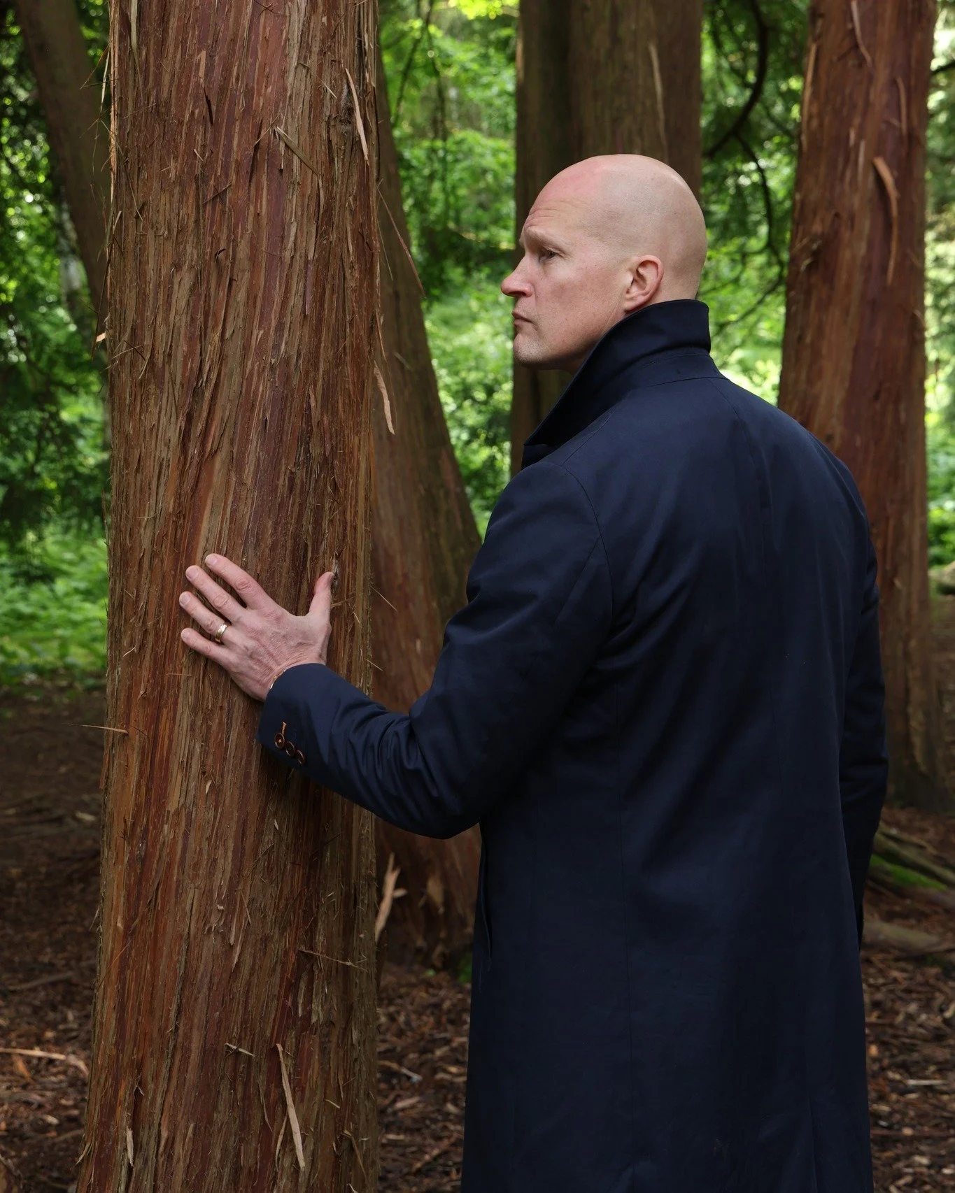 Du g&ouml;r allt &ndash; men r&auml;cker &auml;nd&aring; inte till!

En ber&auml;ttelse ur det verkliga livet!

Mikael, 45 &ndash; IT-konsulten som kompromissar bort sig sj&auml;lv

Mikael &auml;r &ldquo;den sn&auml;lle&rdquo;.
P&aring; jobbet, hemma