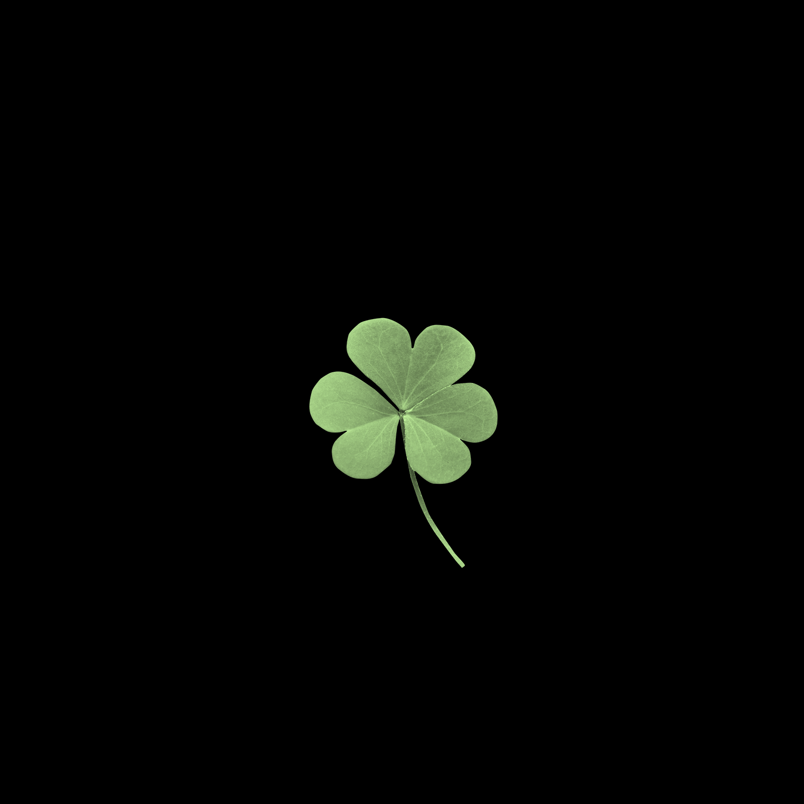 unicel.gif