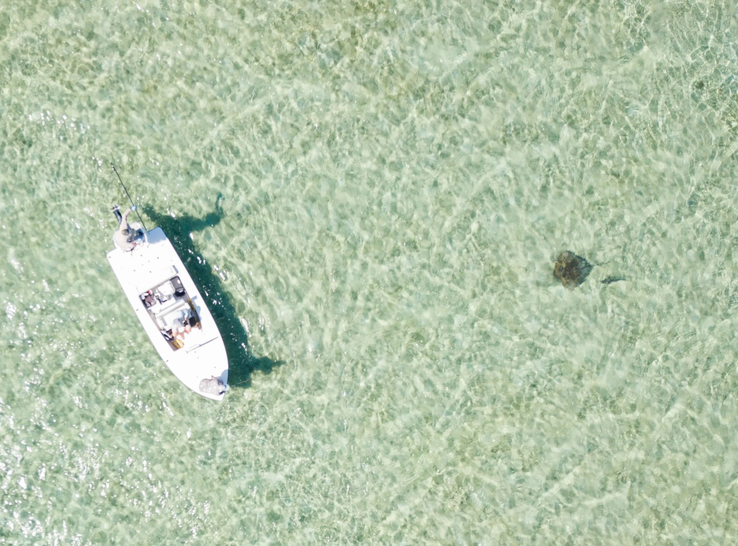 DJI_0212.jpg