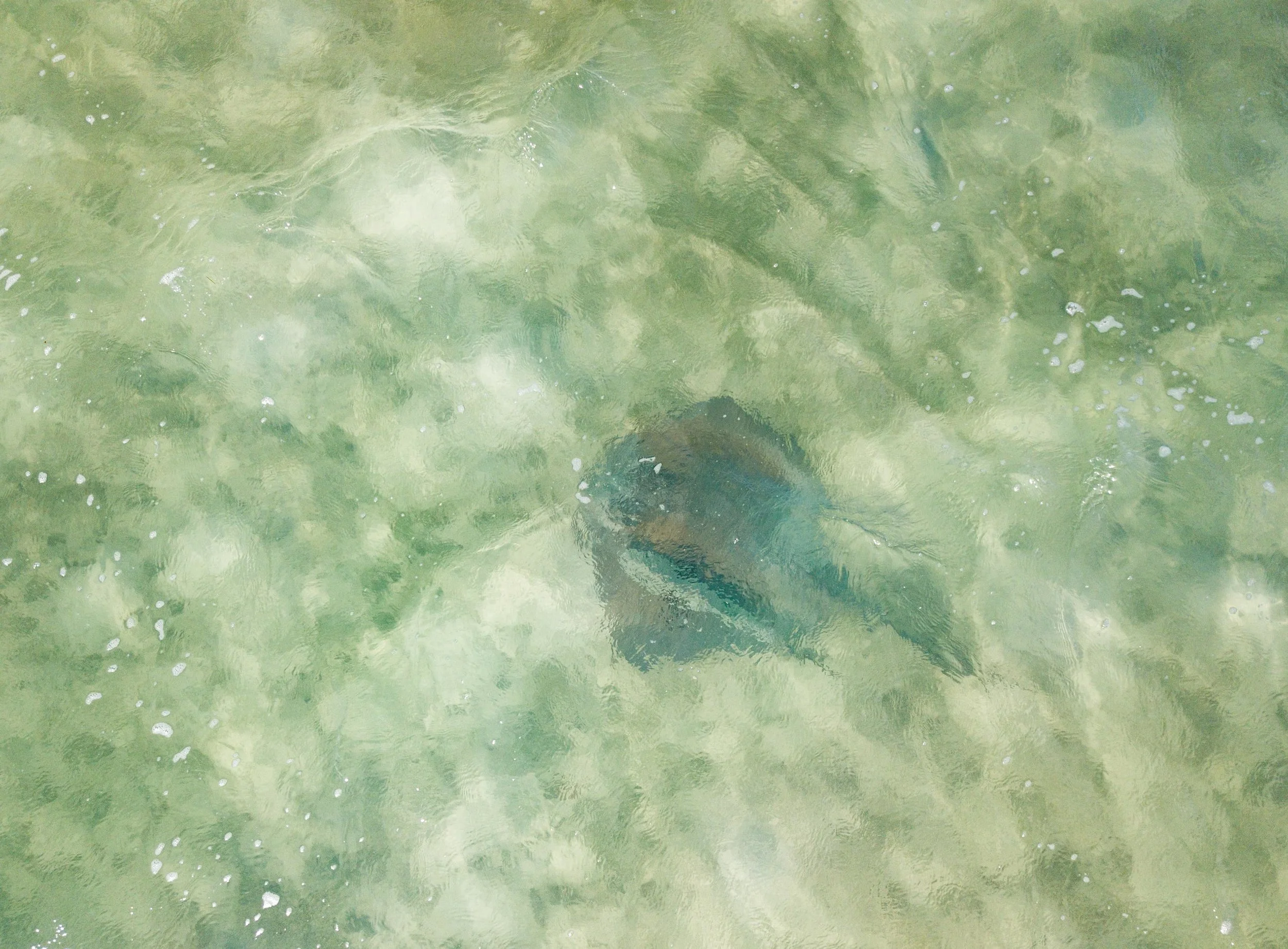 DJI_0117.jpg
