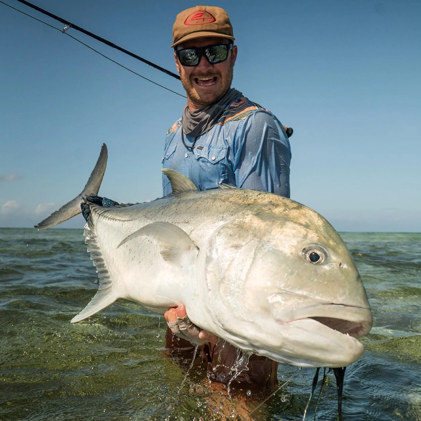 I have not seen it all, but everything I have seen still nothing compares to the Seychelles. And I&rsquo;m not just talking about GT&rsquo;s.

@howlerbros @makoreels @mavenrodsusa @mavenfishing @gerbergear @cortlandline @costasunglasses 

#flyfishing