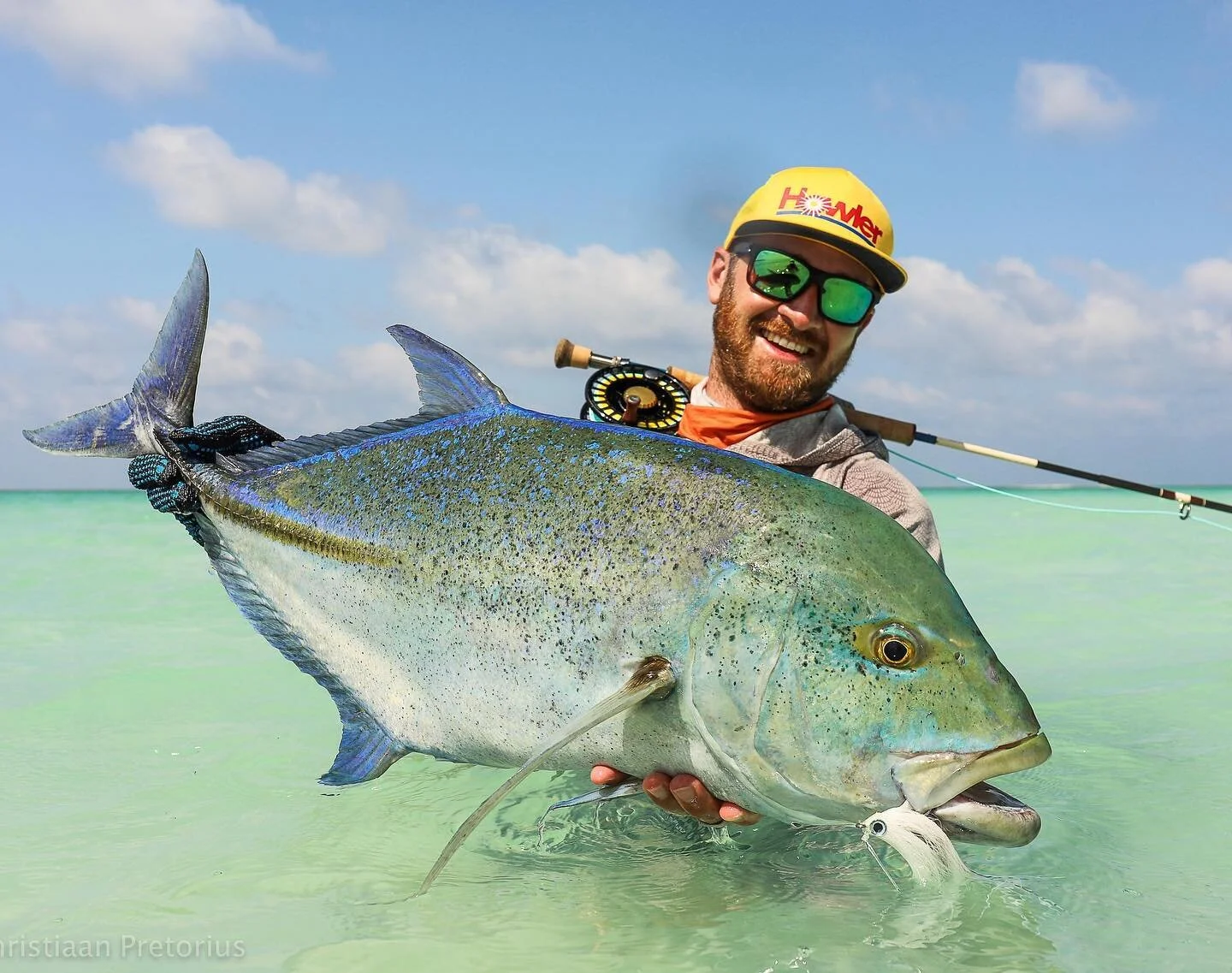 A Bluefin worth celebrating. On a special atoll in the Seychelles we found an abundance of above average sized bluefin travally. 

@makoreels @howlerbros @gerbergear @costasunglasses @cortlandline @alphonsefishingco @mavenfishing @mavenrodsusa @renze